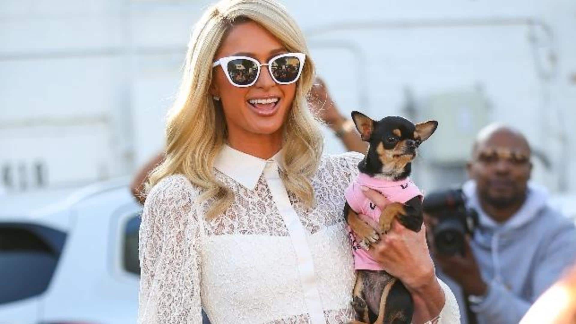 Paris Hilton's pet Chihuahua passes away at 23