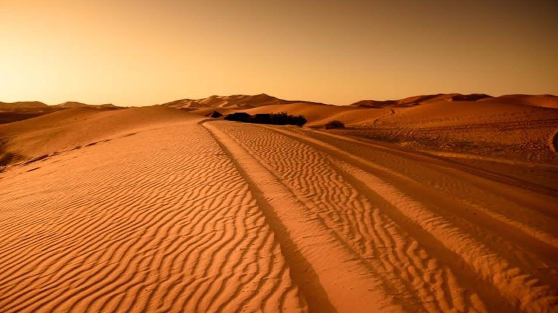 Dune bashing in Rub' al Khali: Desert thrills unleashed