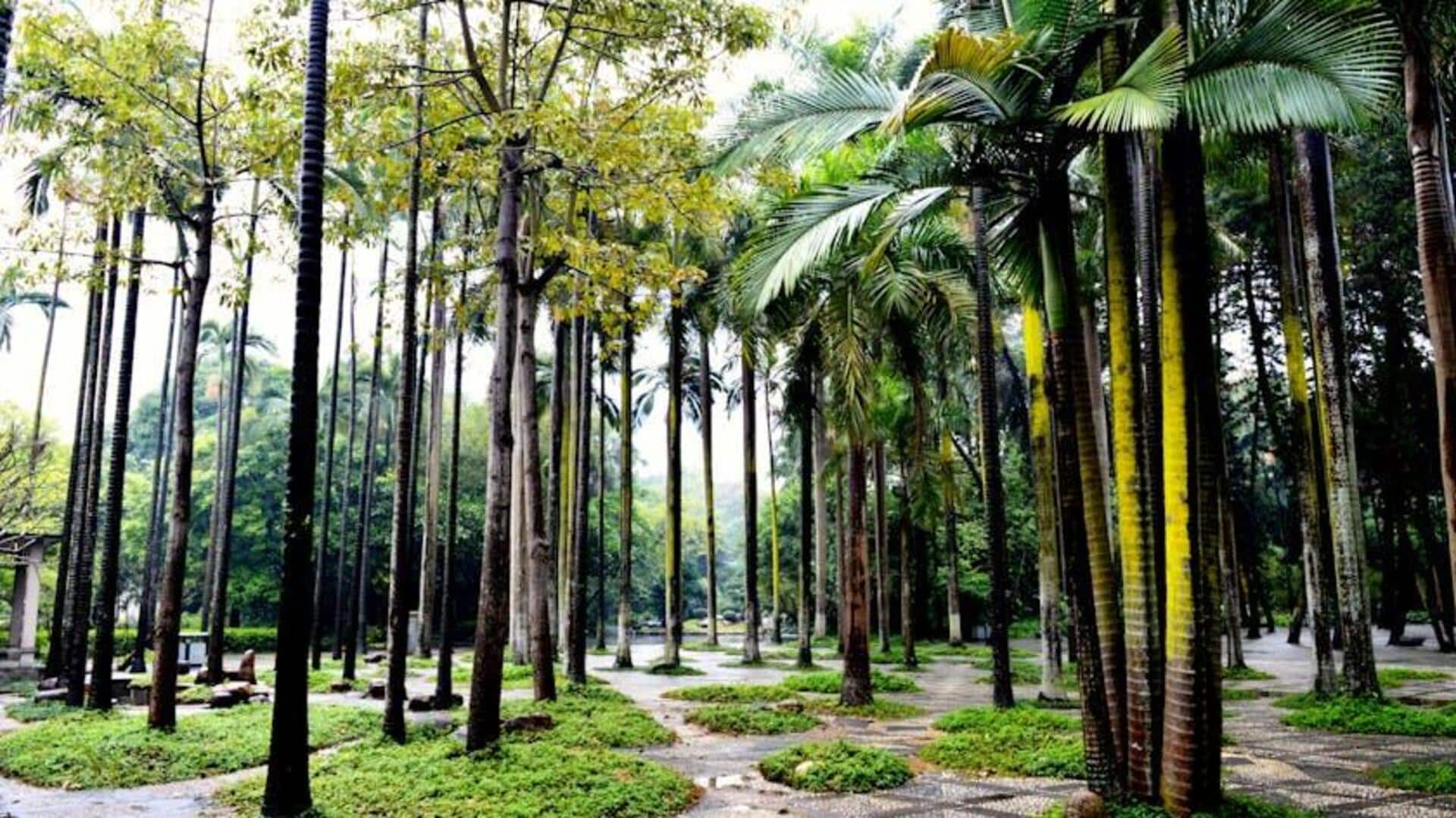 5 wellness benefits of visiting parks 5 wellness benefits of visiting parks