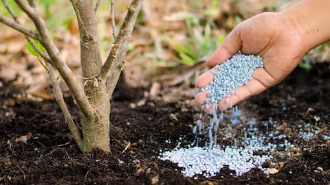 This AI-developed catalyst can turn wastewater into fertilizer