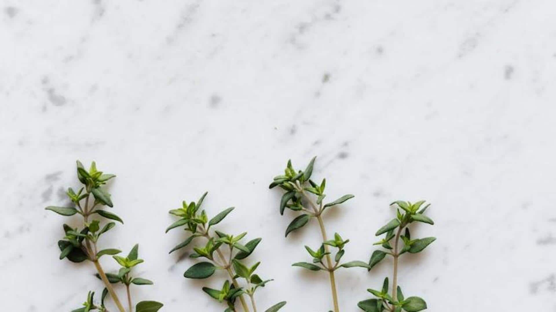 Elevate your cooking with aromatic thyme