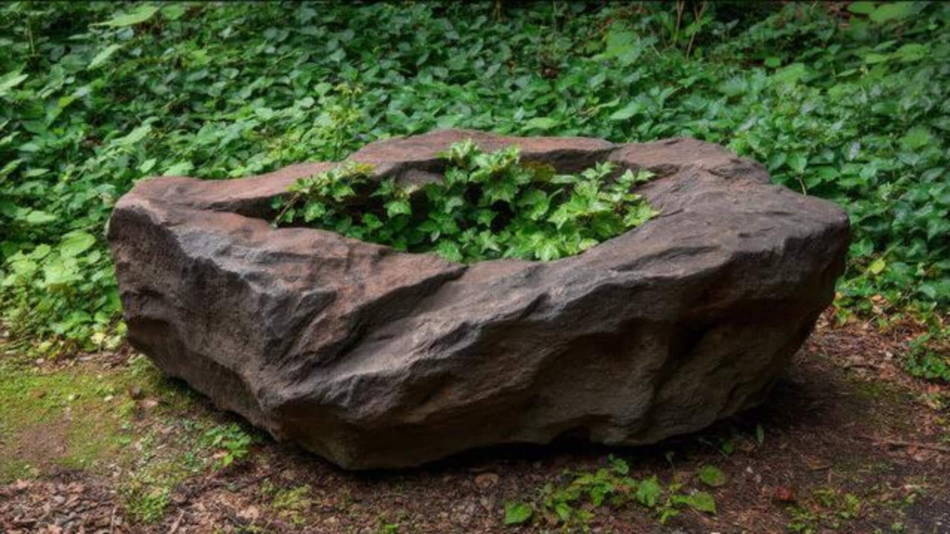 DIY: How to transform rocks into planters DIY: How to transform rocks into planters