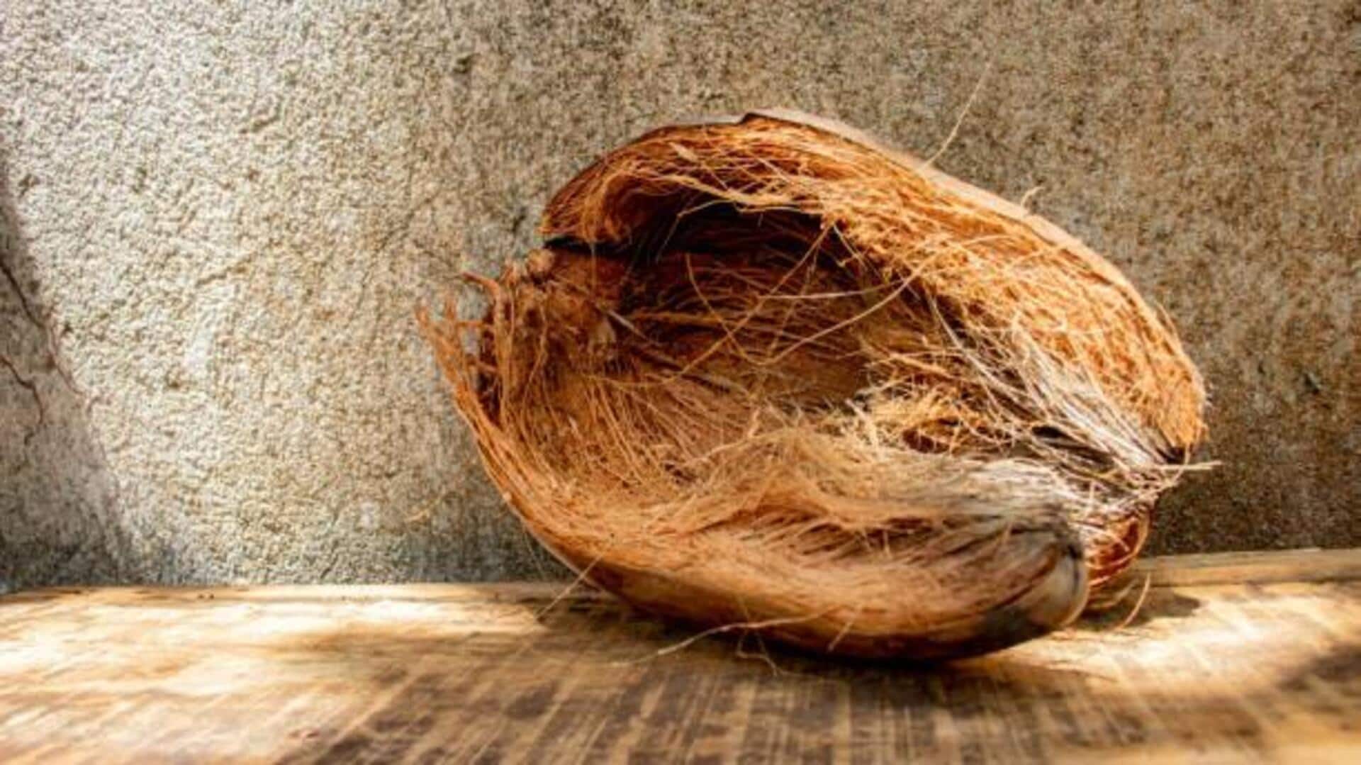 How coconut coir can boost your plant's health