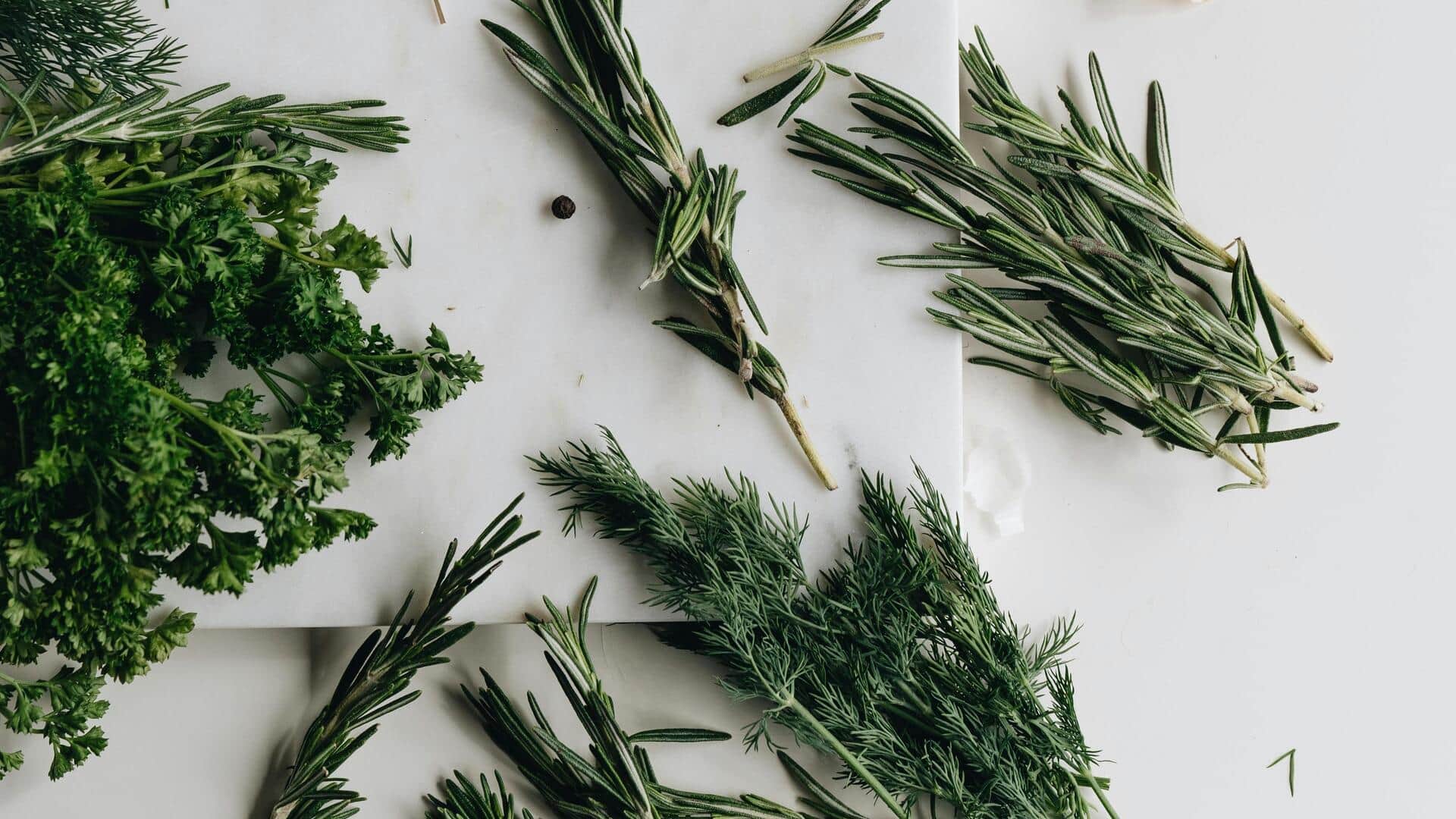 Your guide to growing dill indoors with ease