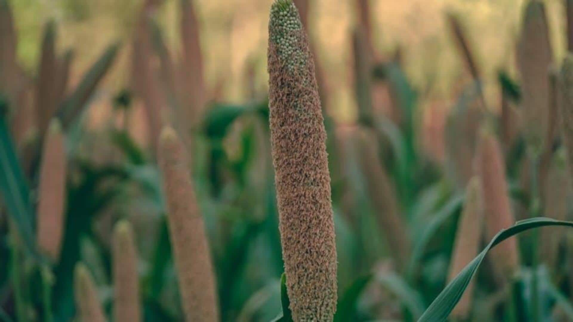 These African pearl millet ideas are a must-try 