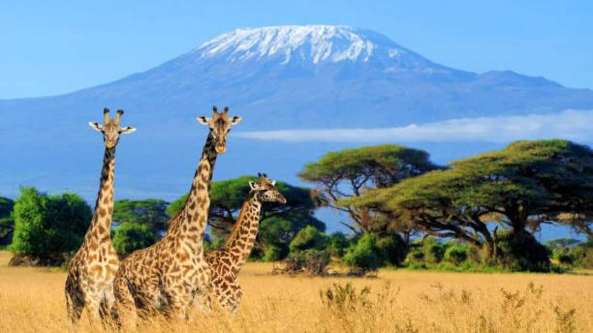 Lesser-known safari destinations worth visiting Lesser-known safari destinations worth visiting