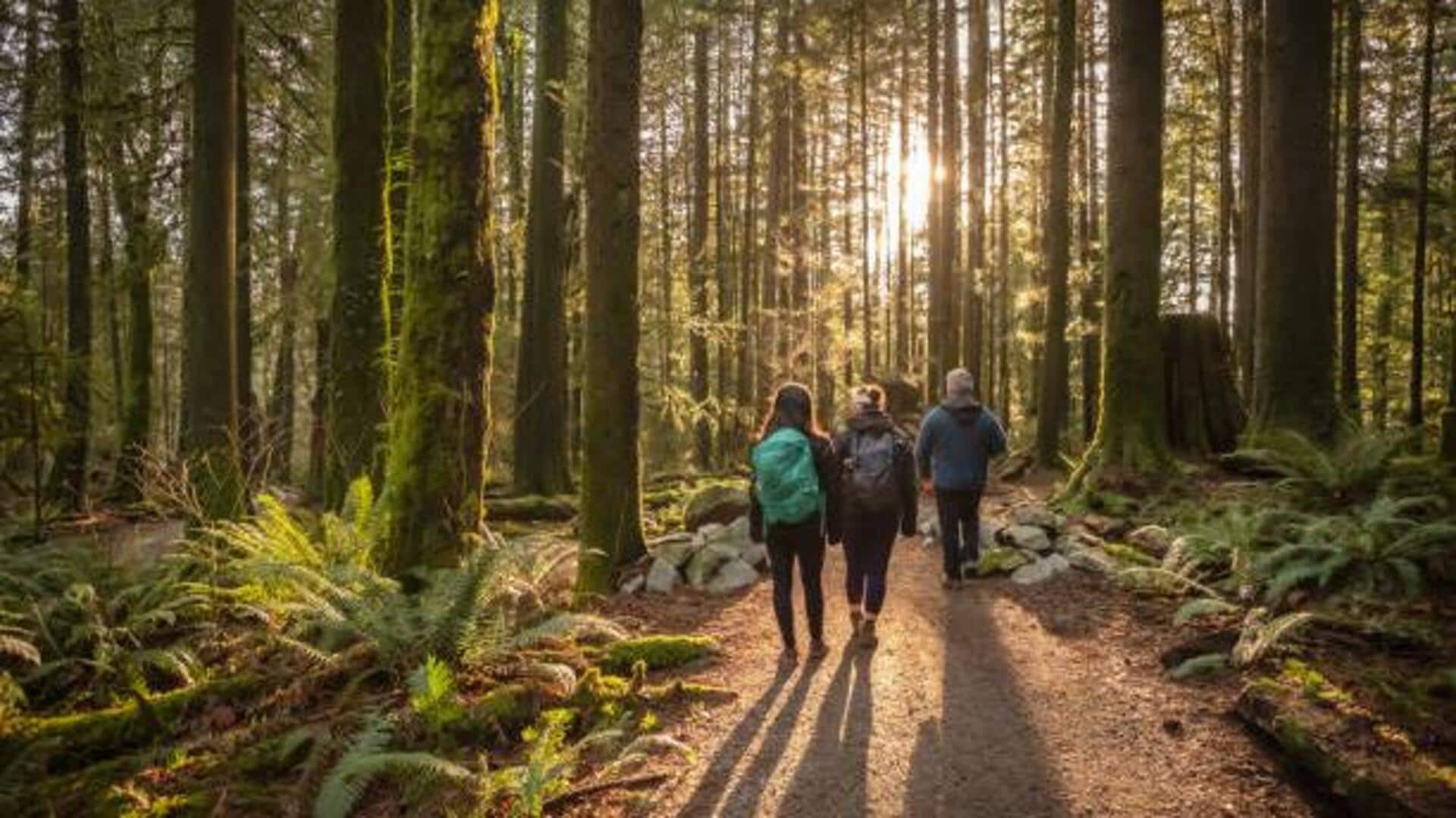 How to explore wild forests like a pro How to explore wild forests like a pro