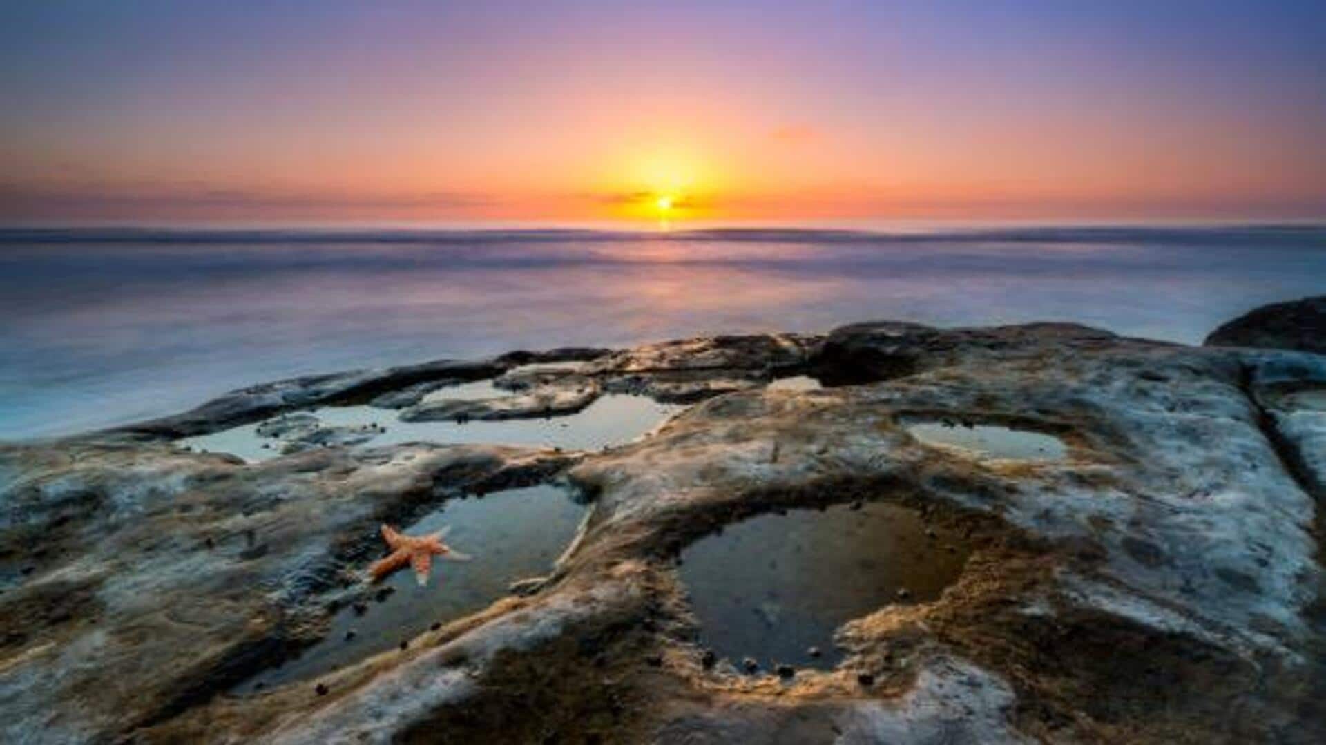 Nature's marvel: Rock pools worth exploring
