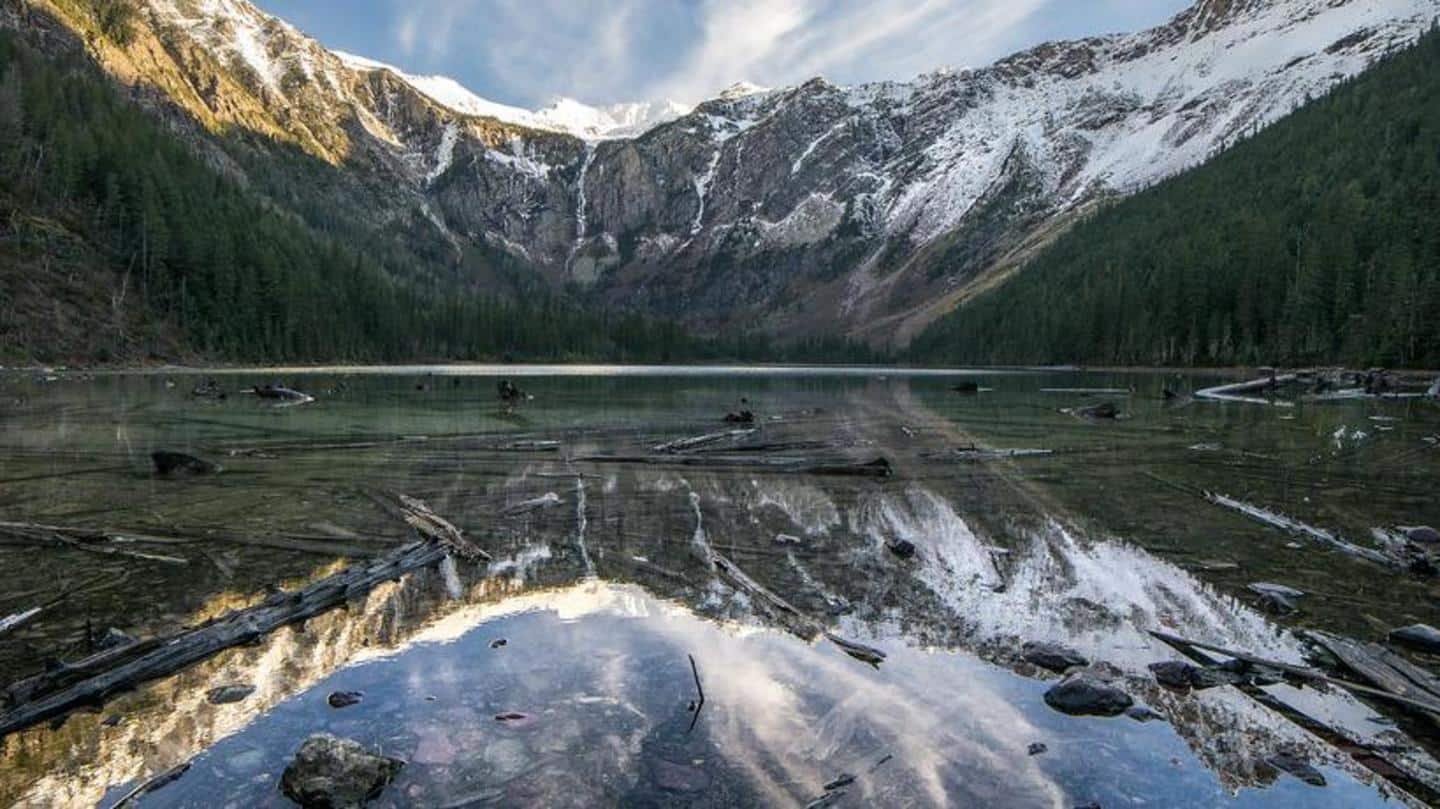 Trekking at the Avalanche Lake Trekking at the Avalanche Lake