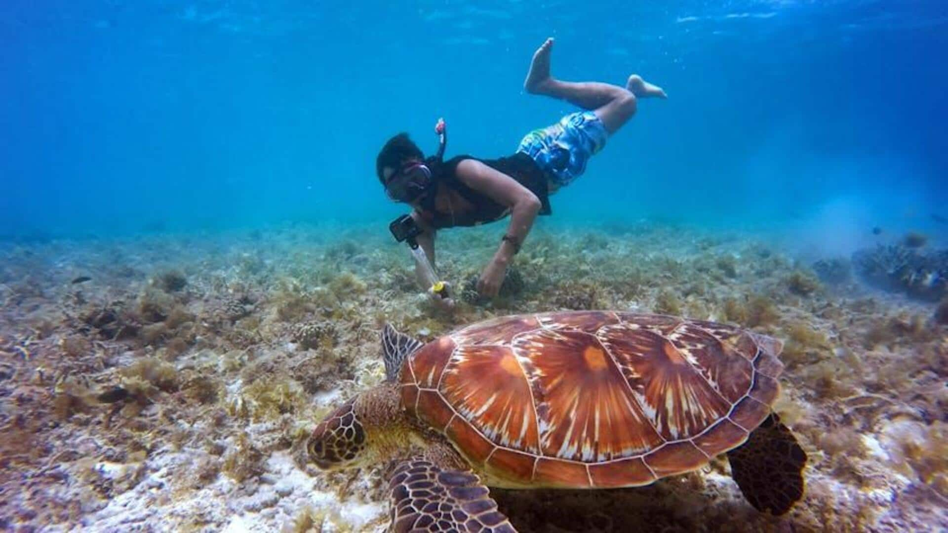 If you love snorkeling, keep reading