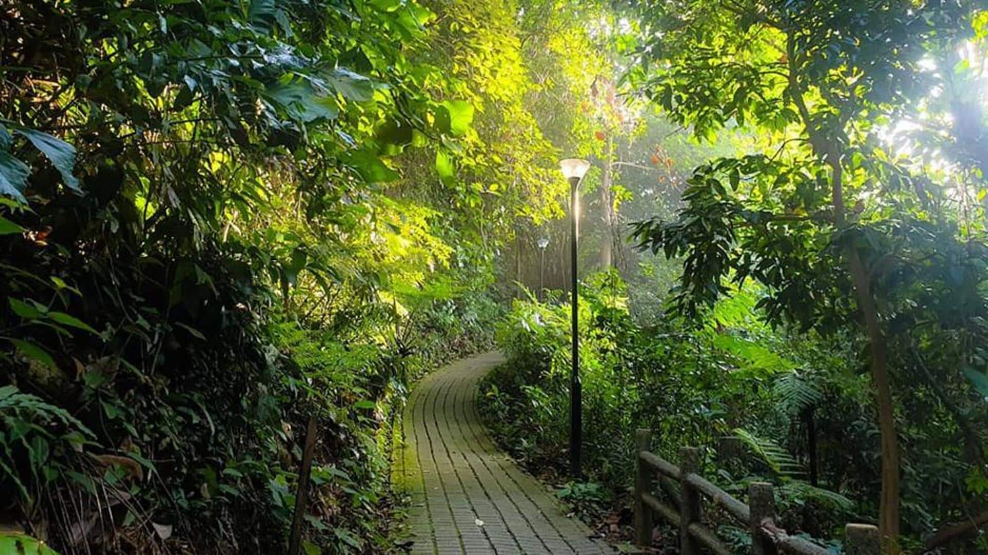 When in Singapore, visit these stunning parks When in Singapore, visit these stunning parks