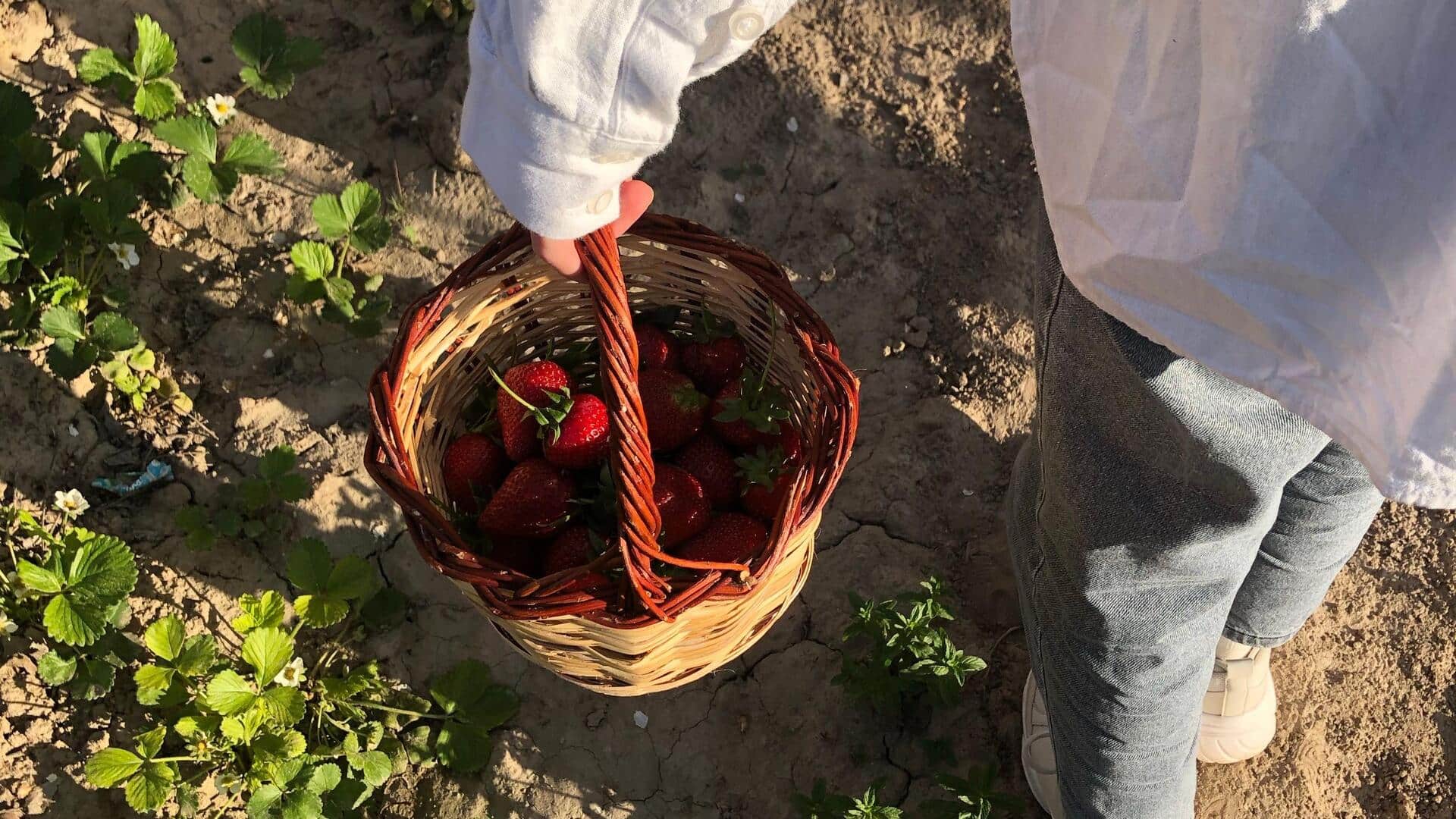 Make fruit picking more fun with these simple ideas