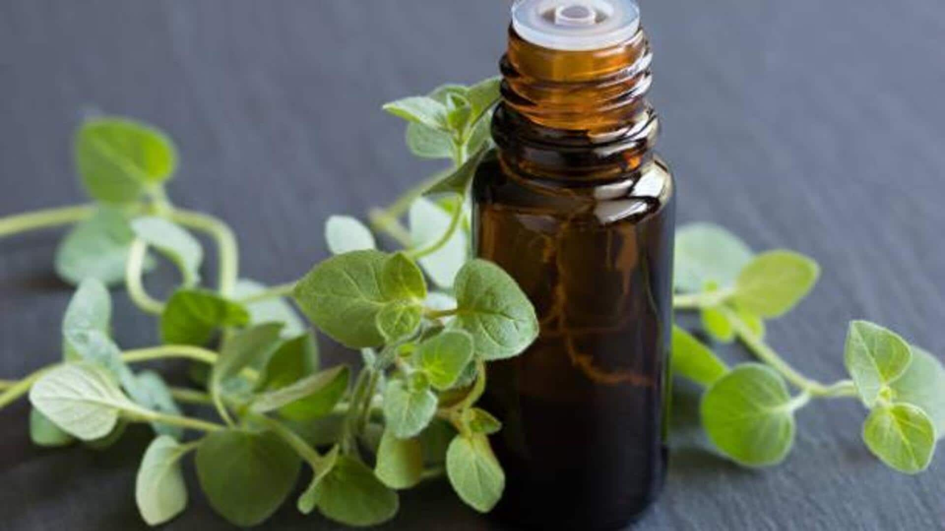 Cozy creations: Cooking with oregano oil