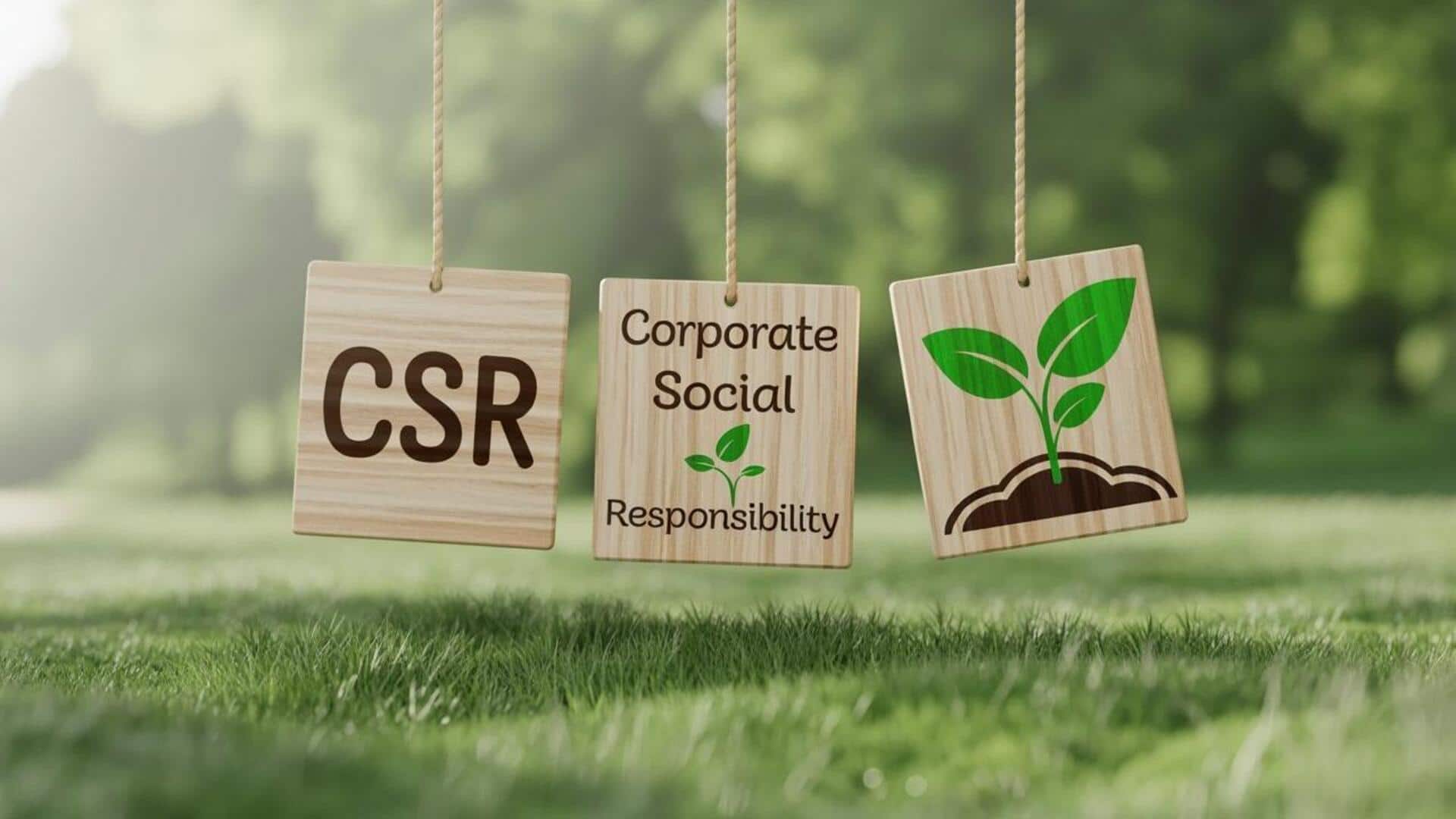 Compulsory CSR spending may lower investor confidence, says IIM study