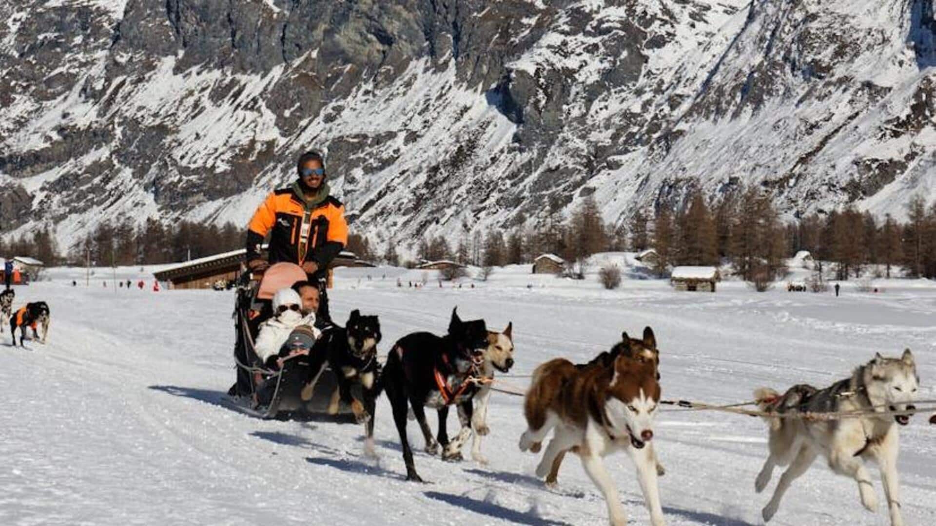 Enjoy the thrills of dog sledding adventure at Ushuaia, Argentina