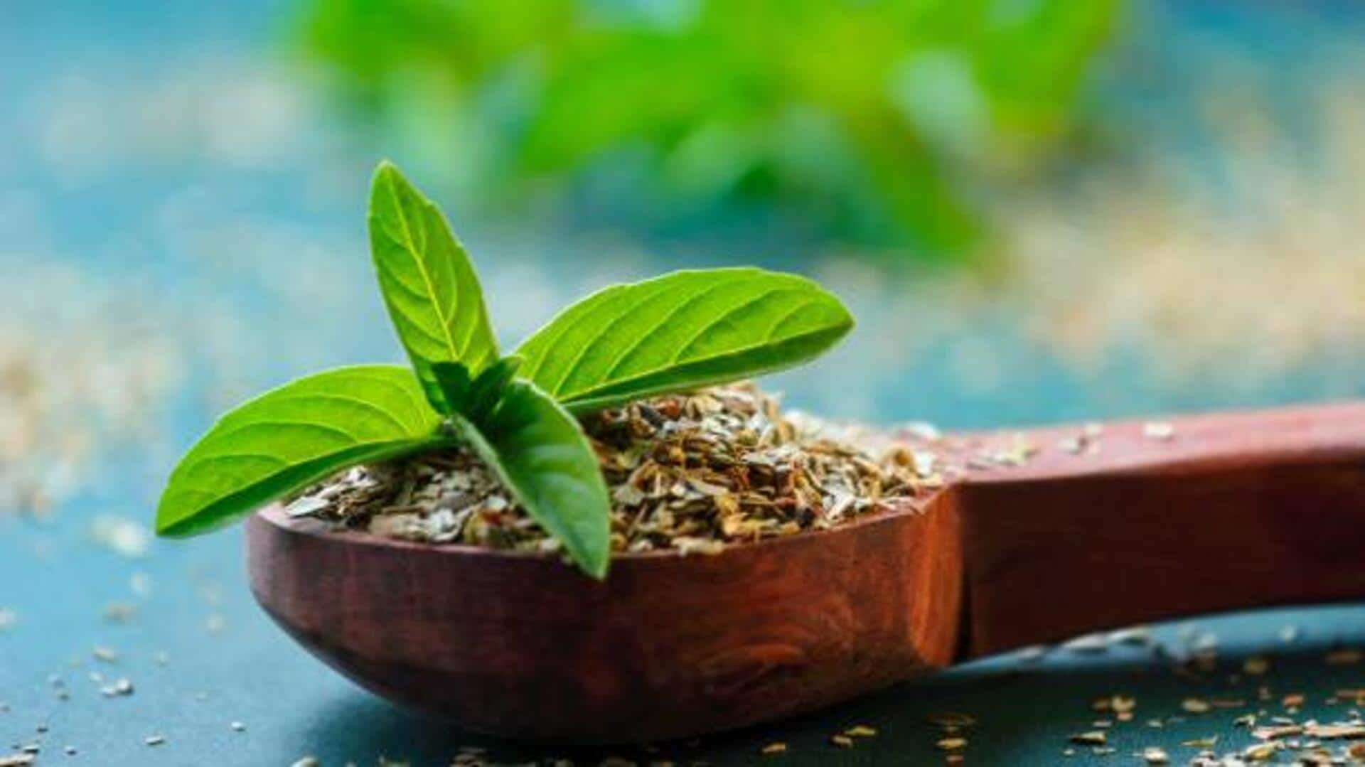 Stress headaches? Basil leaves can help