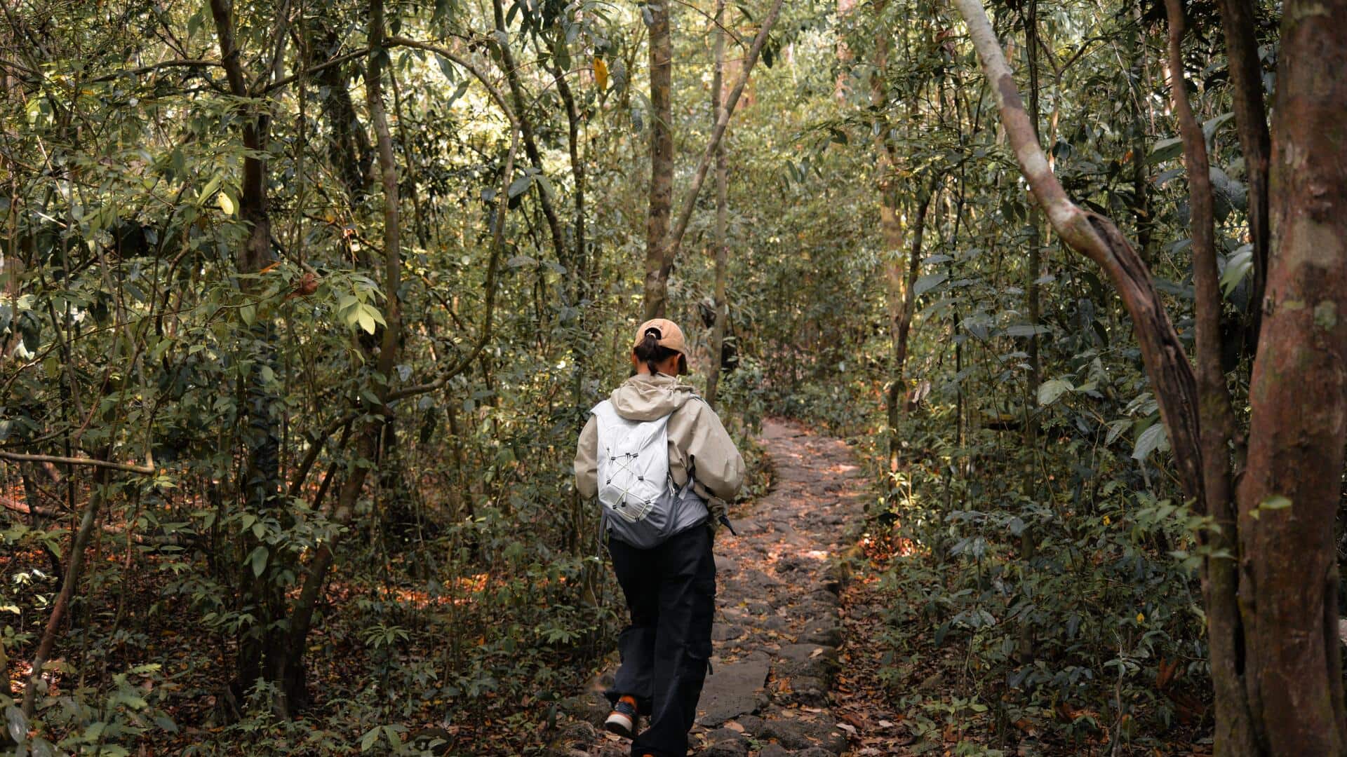 Nature walks v/s Tai Chi: Which exercise is more calming?