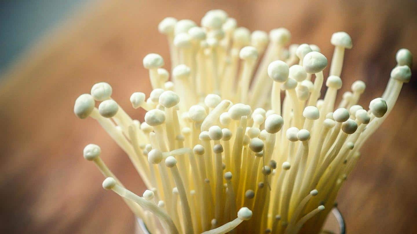 What are enoki mushrooms? (and 5 recipes you can try)