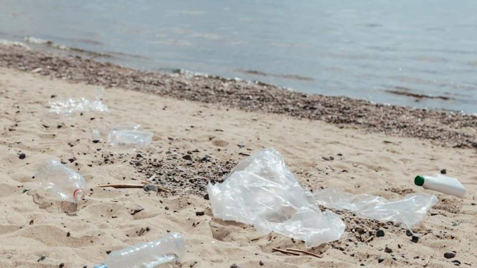 Organizing community beach cleanups like a pro