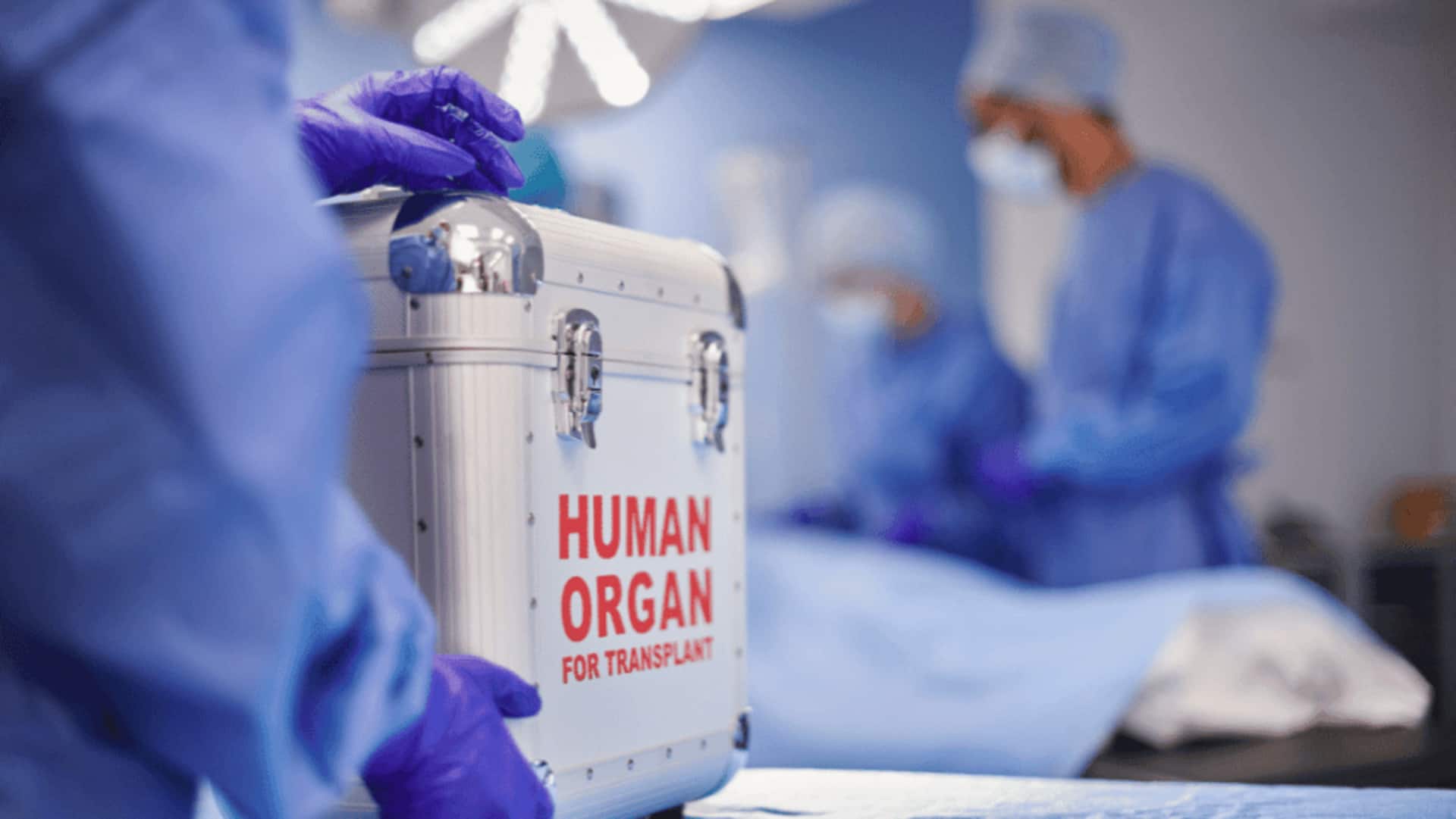 New AI tool can reduce organ transplant failures by 60%
