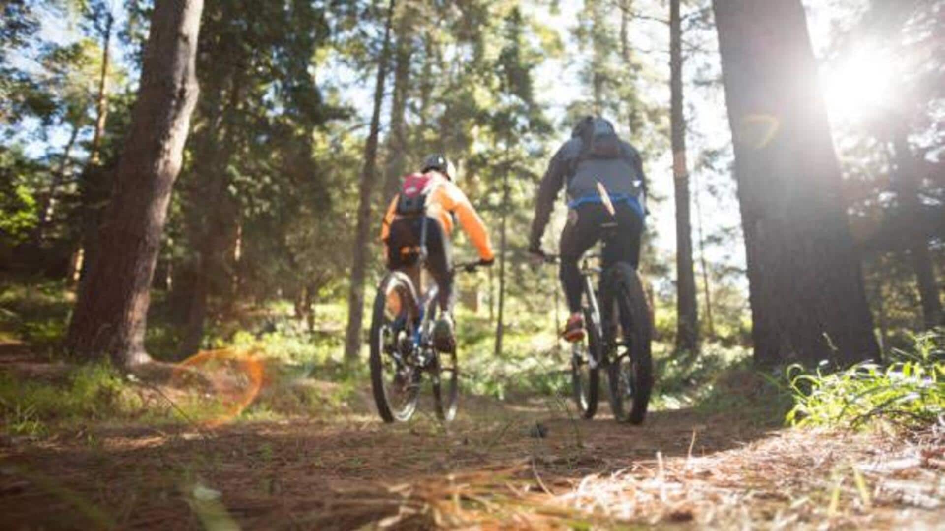 Cycling enthusiasts, this ride is anything but ordinary 