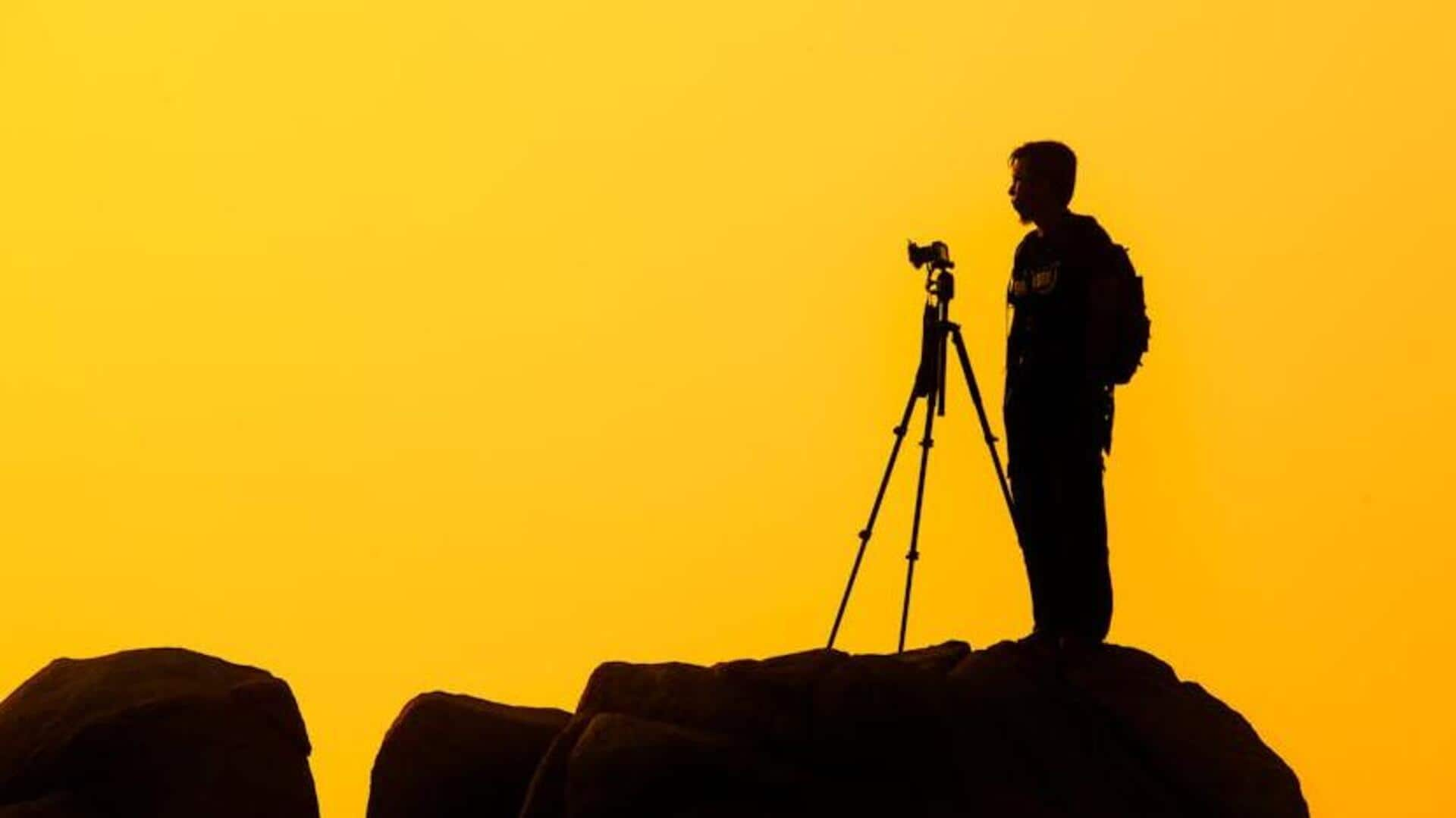 For photographers: How to capture stunning photos of harp seals