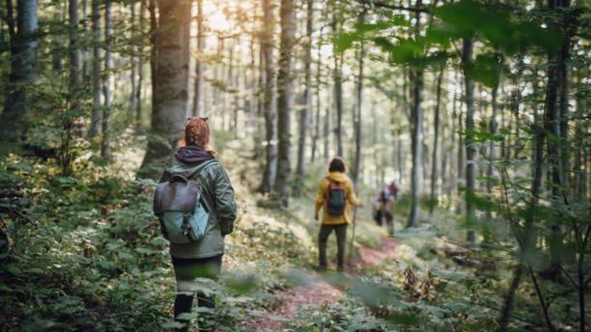 For nature lovers: Lesser-known forest treks to explore For nature lovers: Lesser-known forest treks to explore