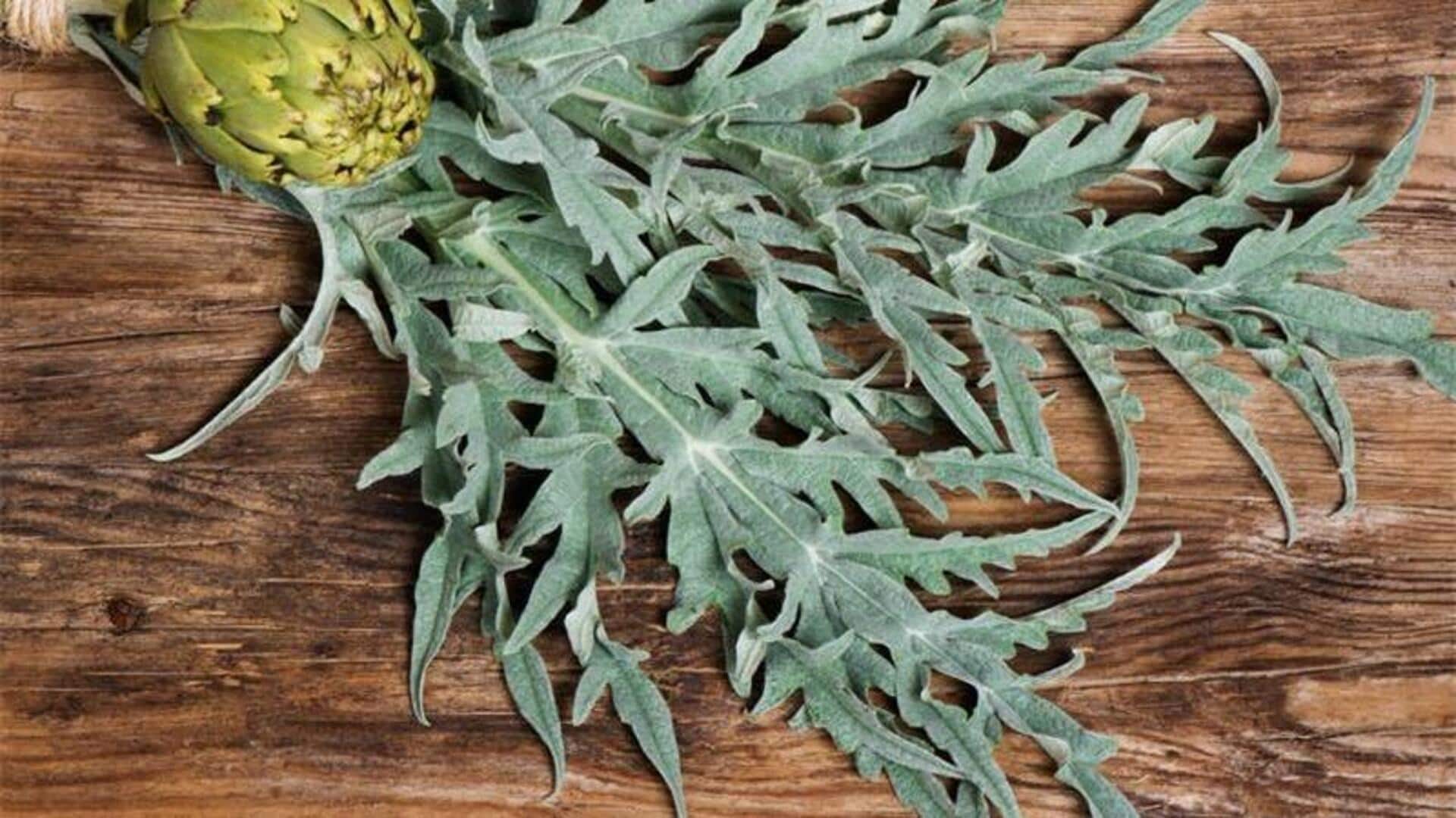 Creative ways to cook with artichoke leaves Creative ways to cook with artichoke leaves