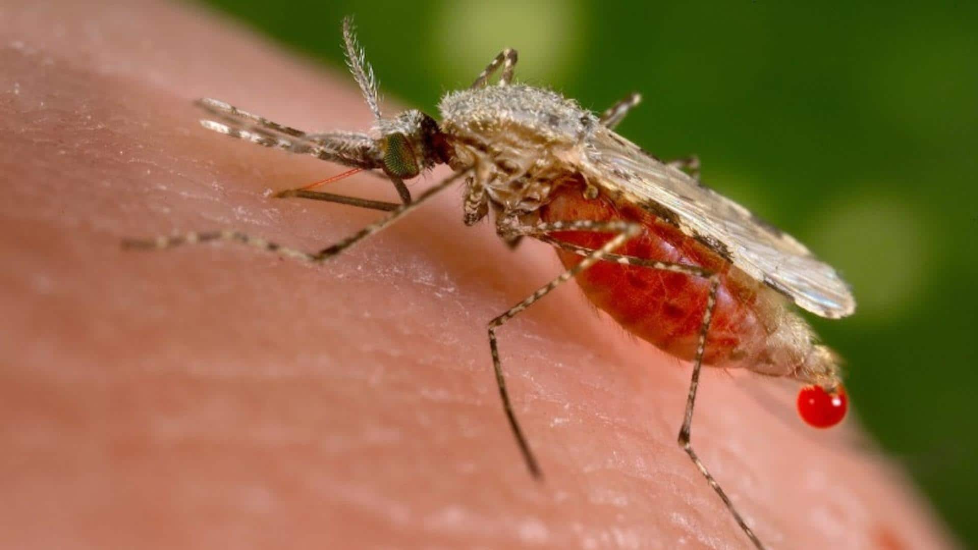 This is the 1st WHO-approved malaria treatment for infants