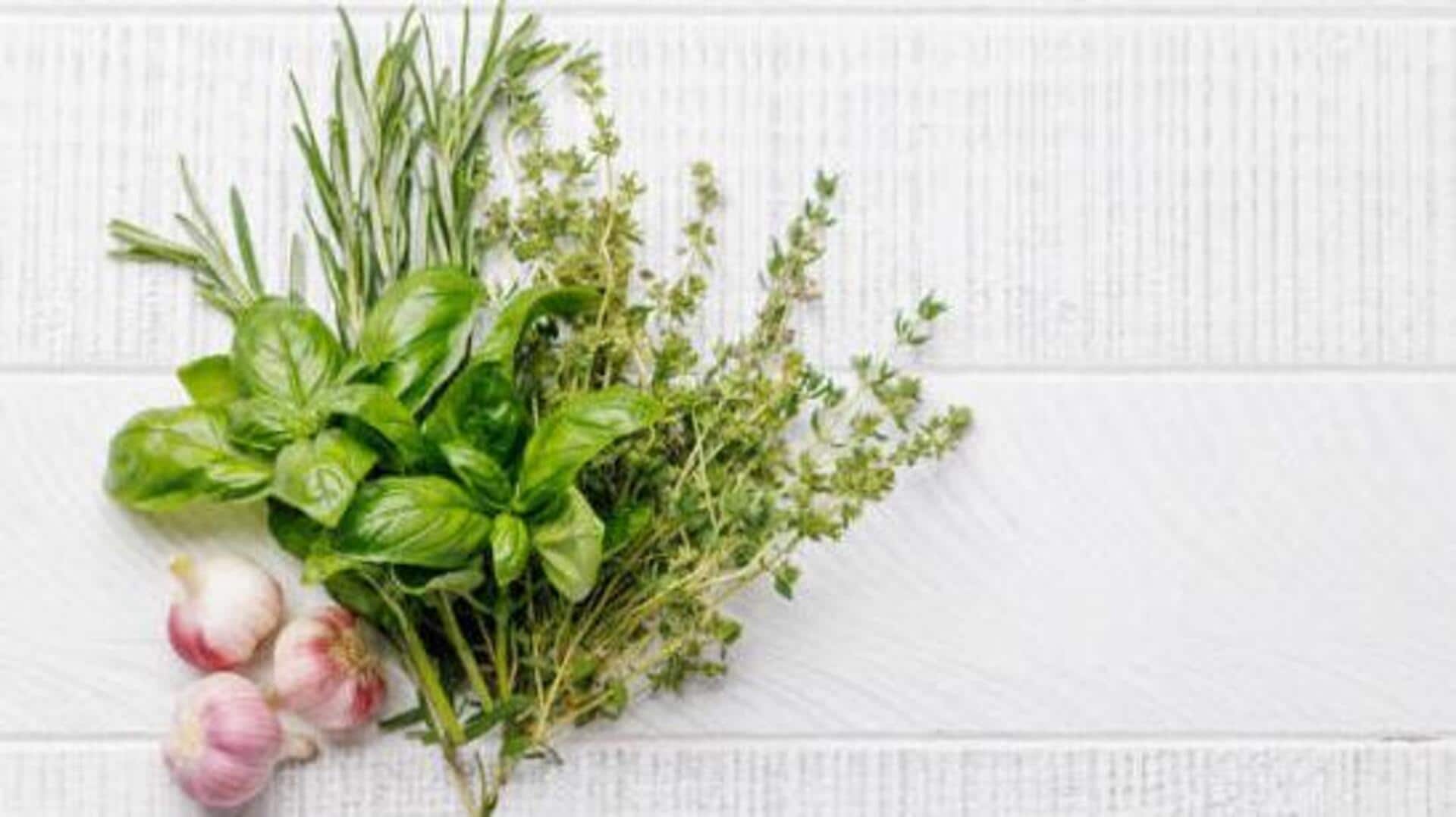 Basil v/s thyme: Which herb is more nutritious?