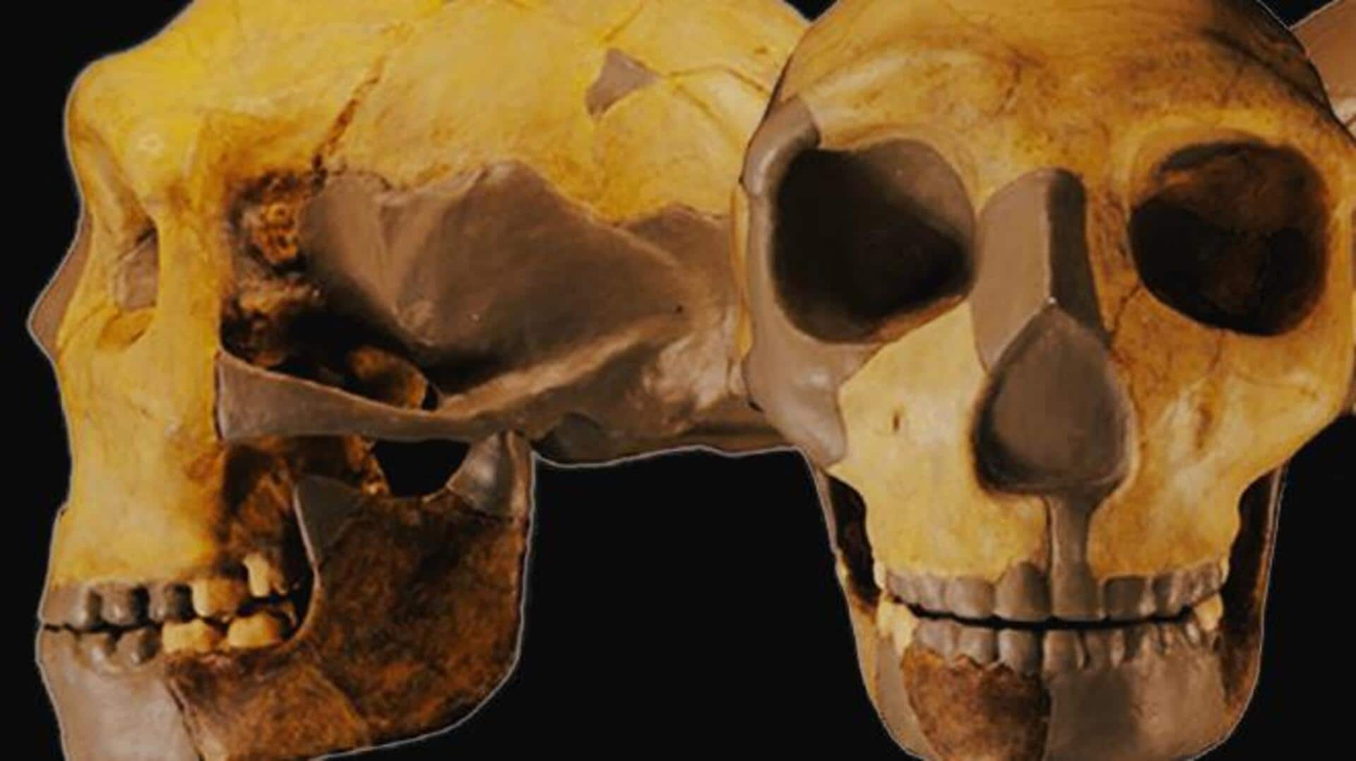 Mysterious fossil found in China complicates understanding of human evolution