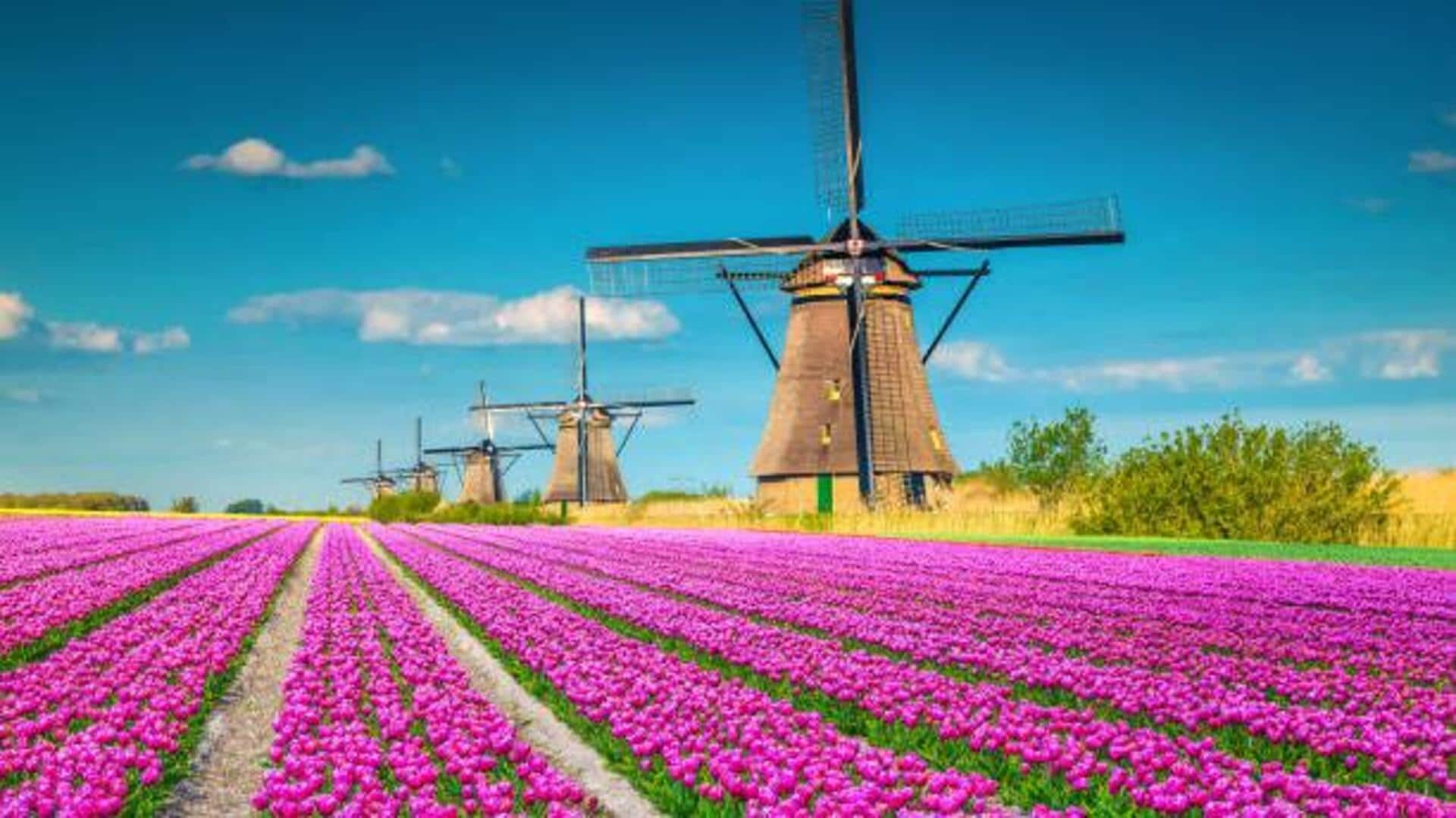 Heading to Netherlands? Add these spots to your itinerary Heading to Netherlands? Add these spots to your itinerary