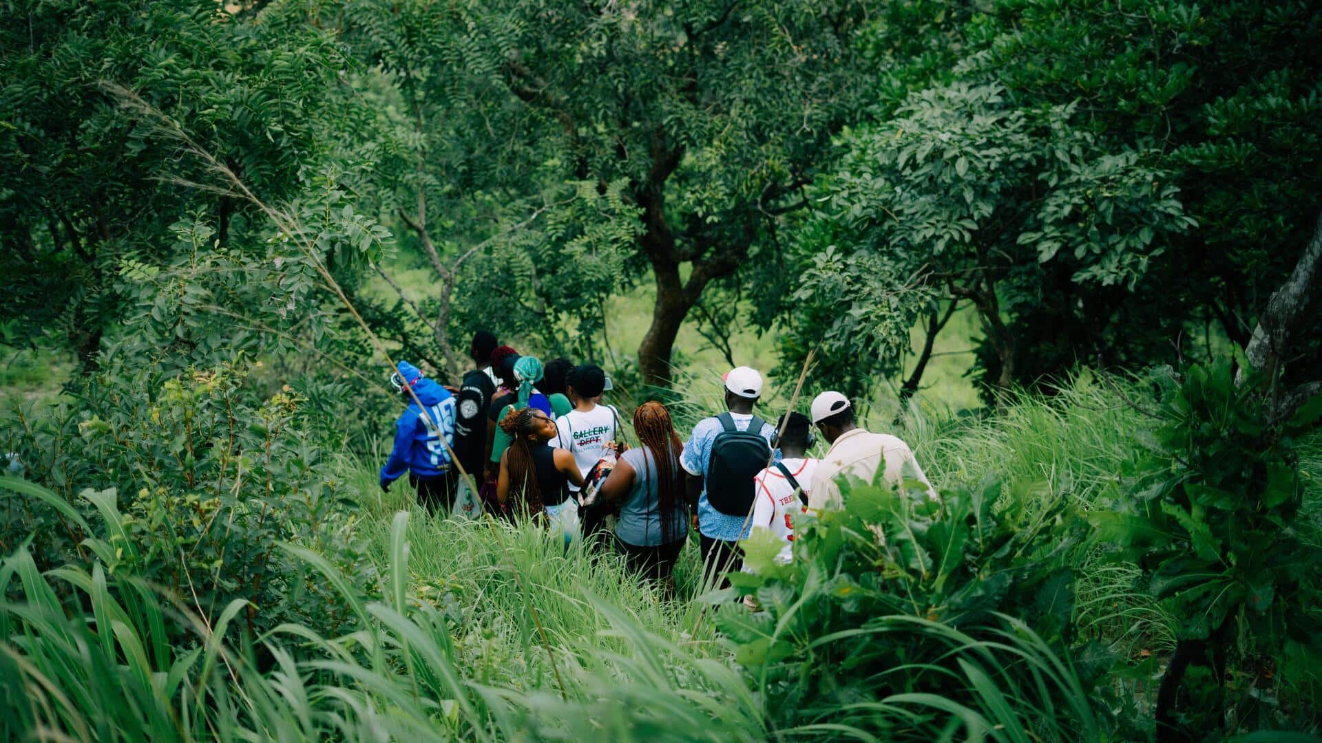 How nature walks can help you feel more grateful