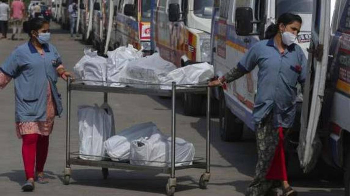 Injections were arranged but sadly she didn't make it: Principal Injections were arranged but sadly she didn't make it: Principal