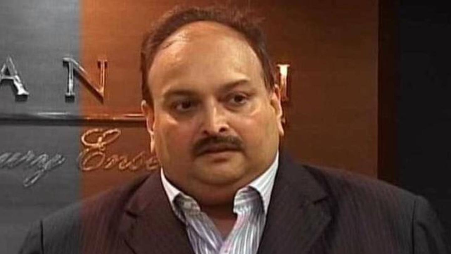 What are the legal cases against Choksi? What are the legal cases against Choksi?