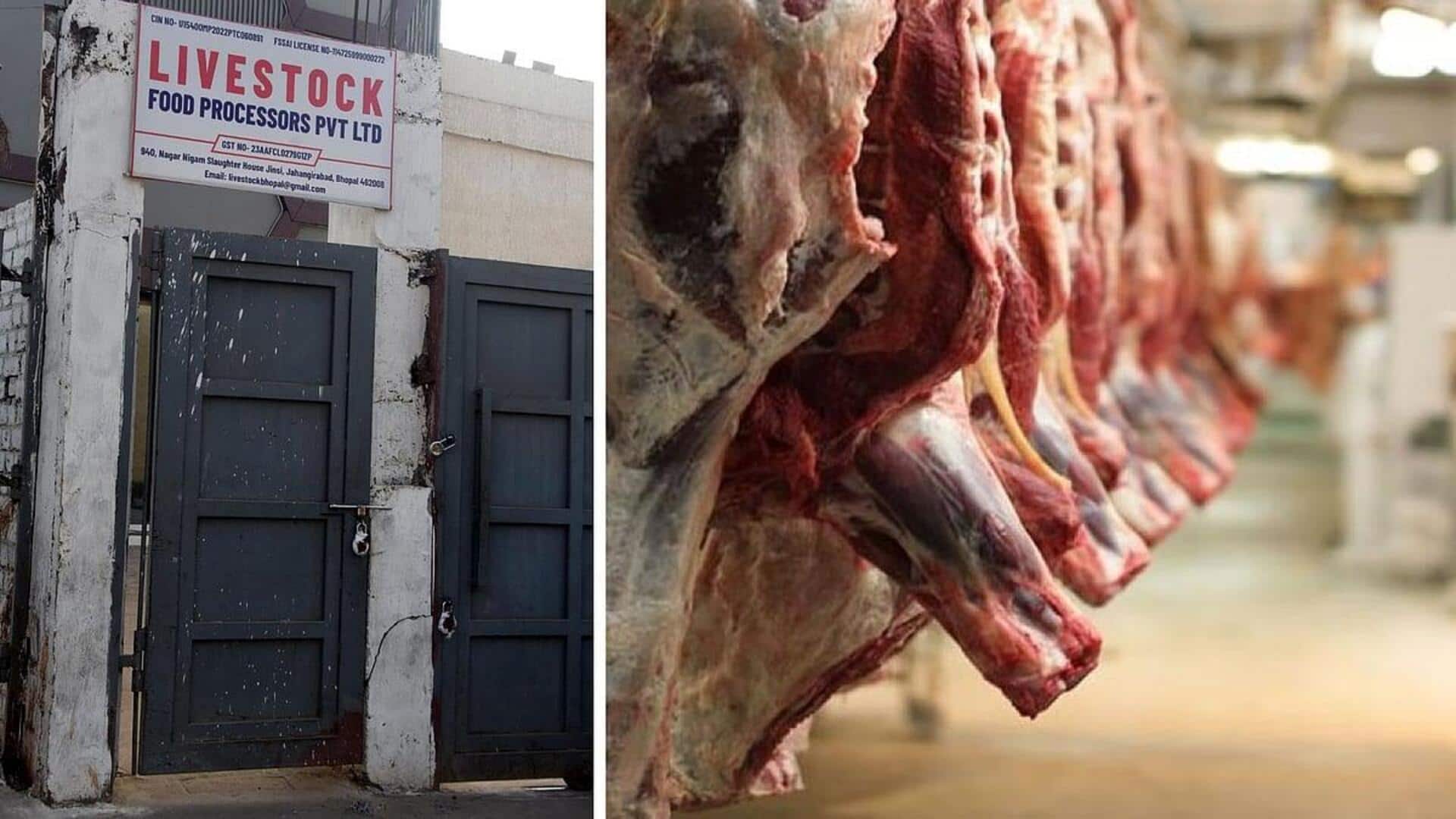 Beef seizure linked to BJP-led Bhopal Municipal Corporation sparks controversy 