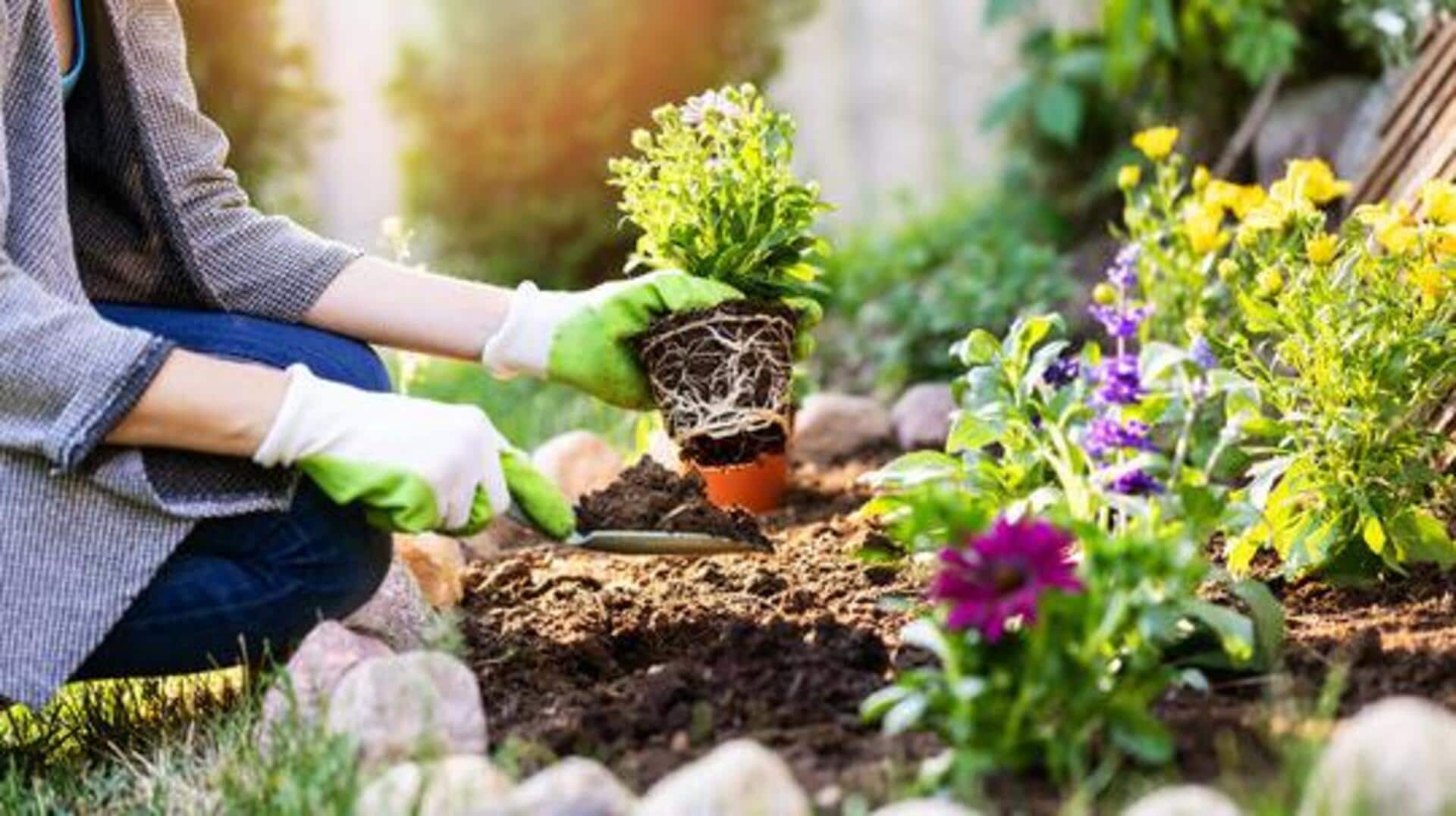 Use these AI tools for stress-free gardening