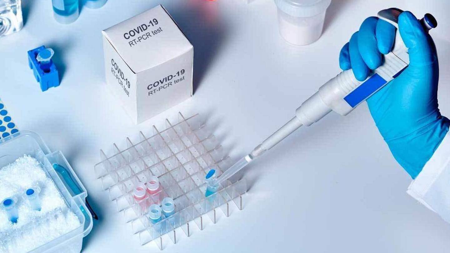RT-PCR test looks for current sign of infection RT-PCR test looks for current sign of infection