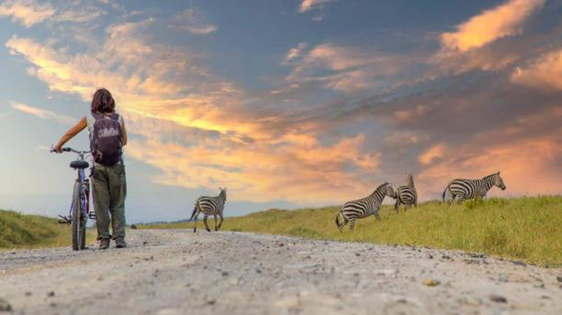 Twilight cycling safaris: Best way to explore the wild 