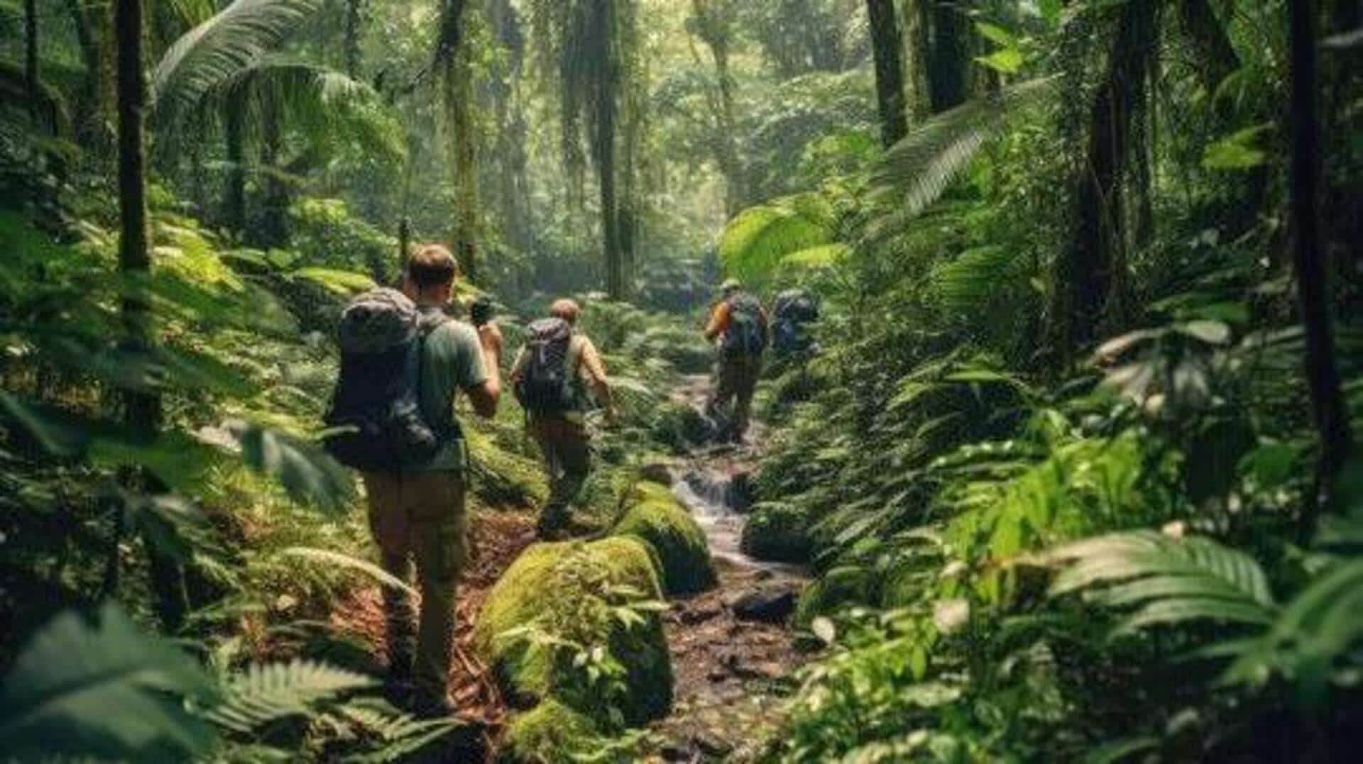 What To Pack For A Rainforest Trek What To Pack For A Rainforest Trek