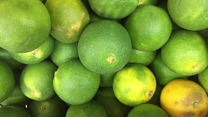 Check out these 5 health benefits of sweet lime