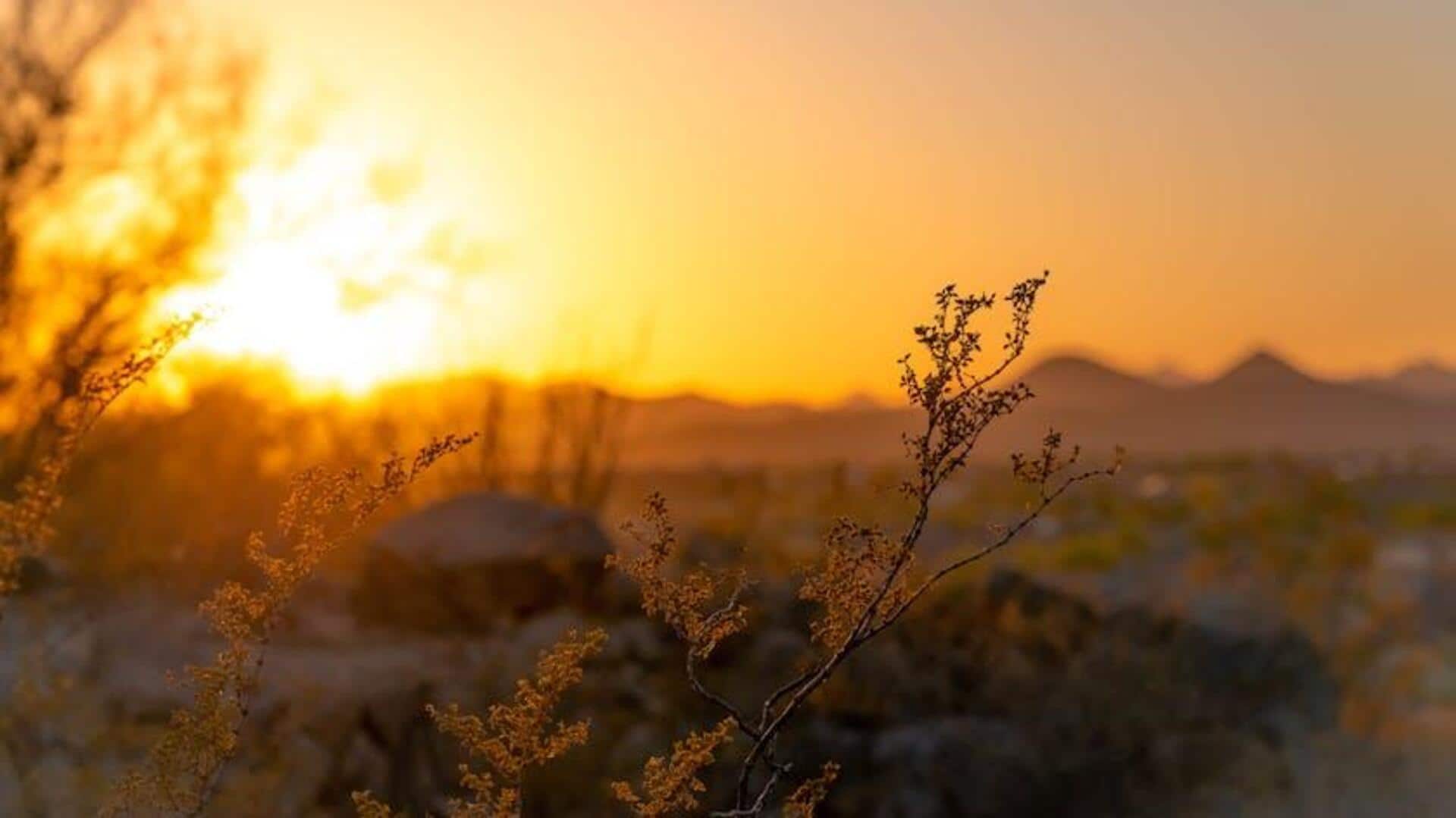 5 ways sunlight enhances your well-being 