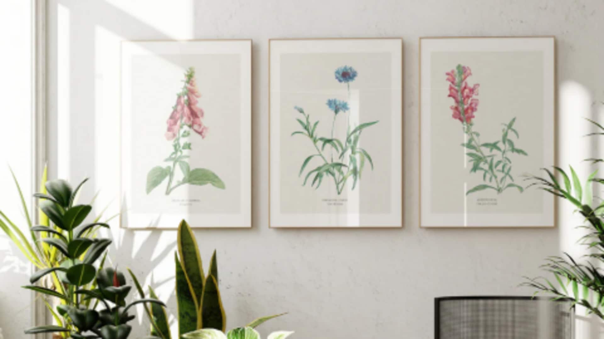 Home decor 101: Try these vintage botanical prints