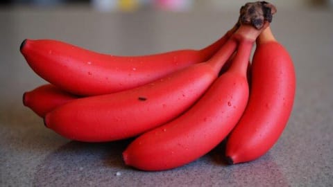5 skincare benefits of red bananas