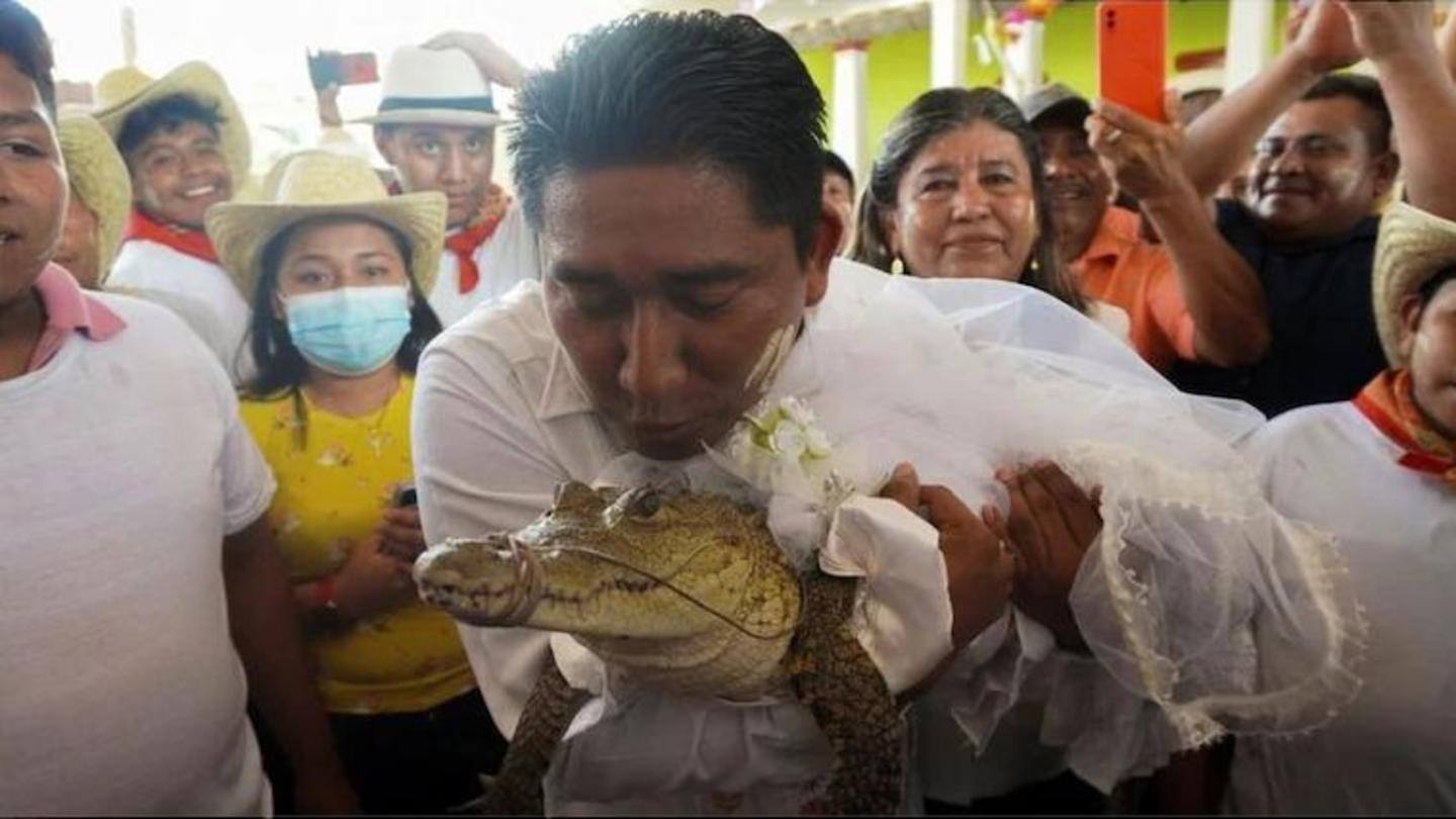 Mexico: Mayor married alligator dressed as bride in age-old ritual