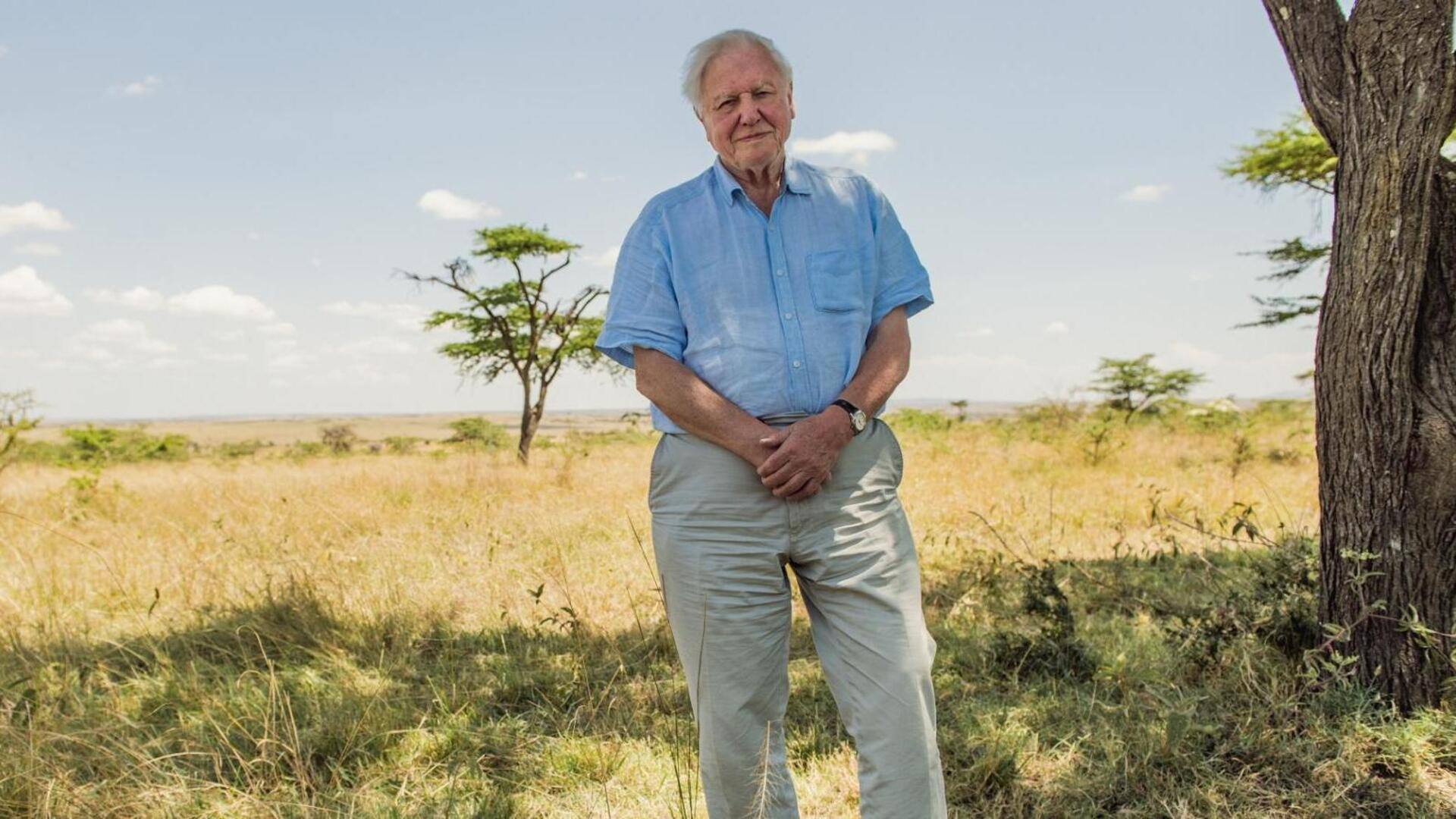 David Attenborough's best documentaries, shows 
