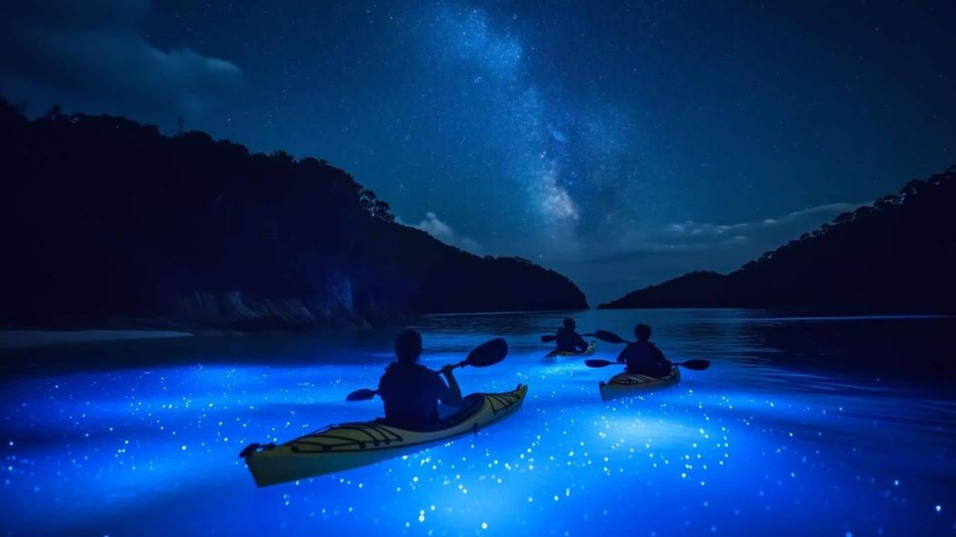 Nebula nights canoeing: Paddle under a blanket of stars 