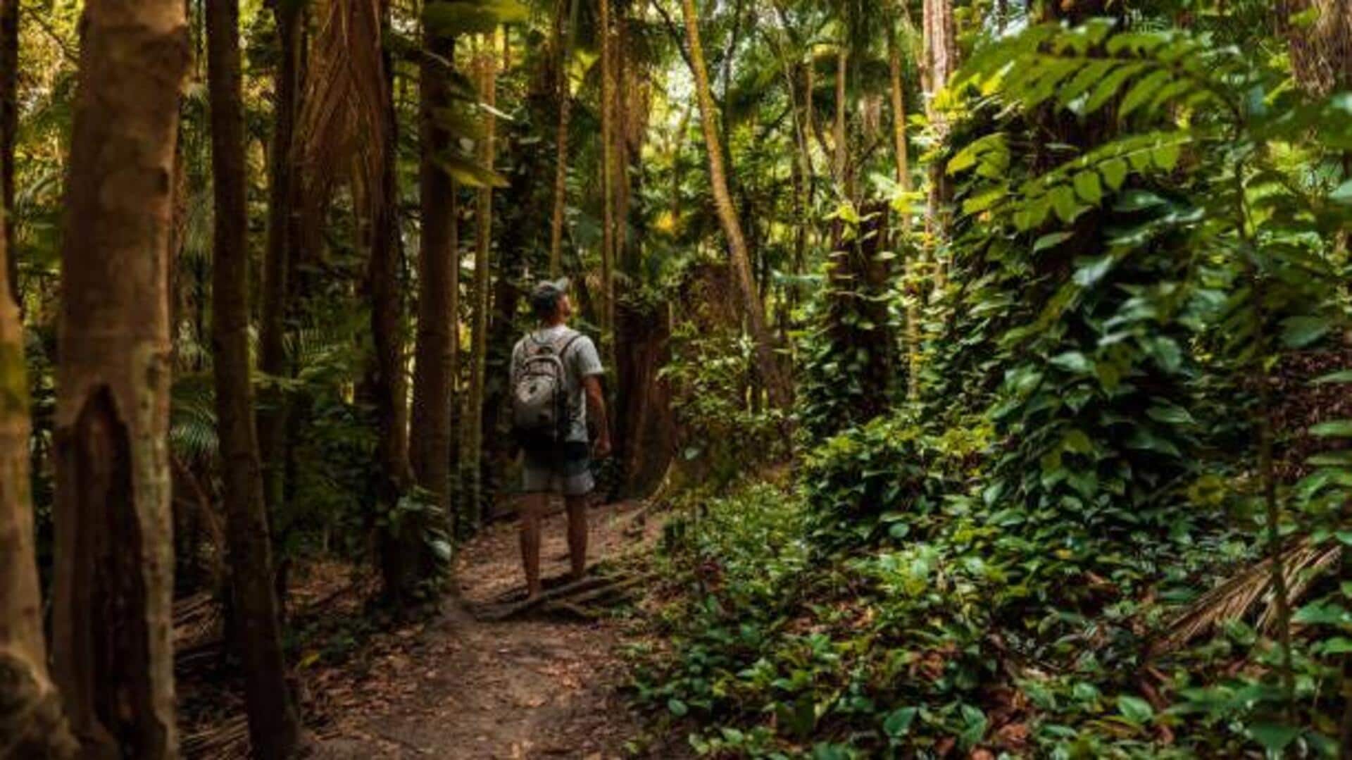 5 lesser-known jungle trails worth exploring