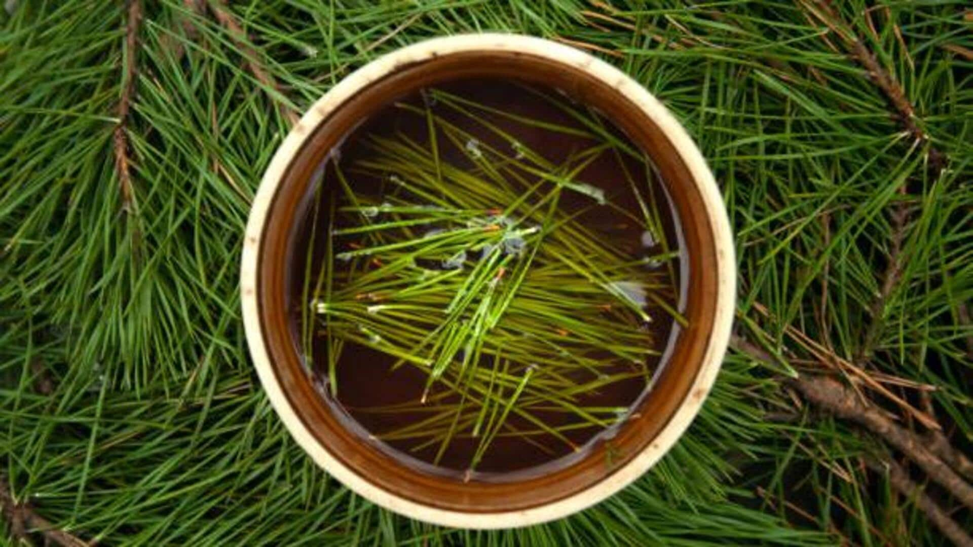 Creative ways to make pine needle tea a daily staple 