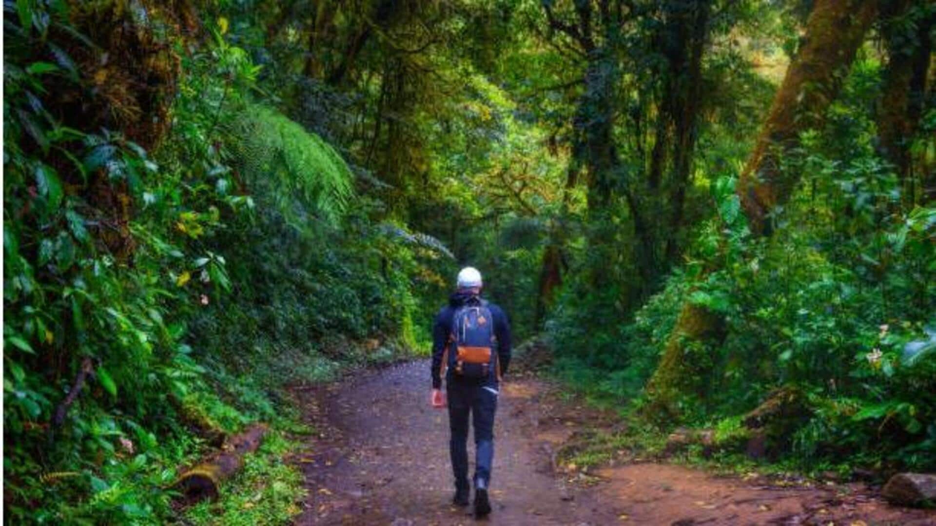 Planning a jungle trek? Here's where to go Planning a jungle trek? Here's where to go